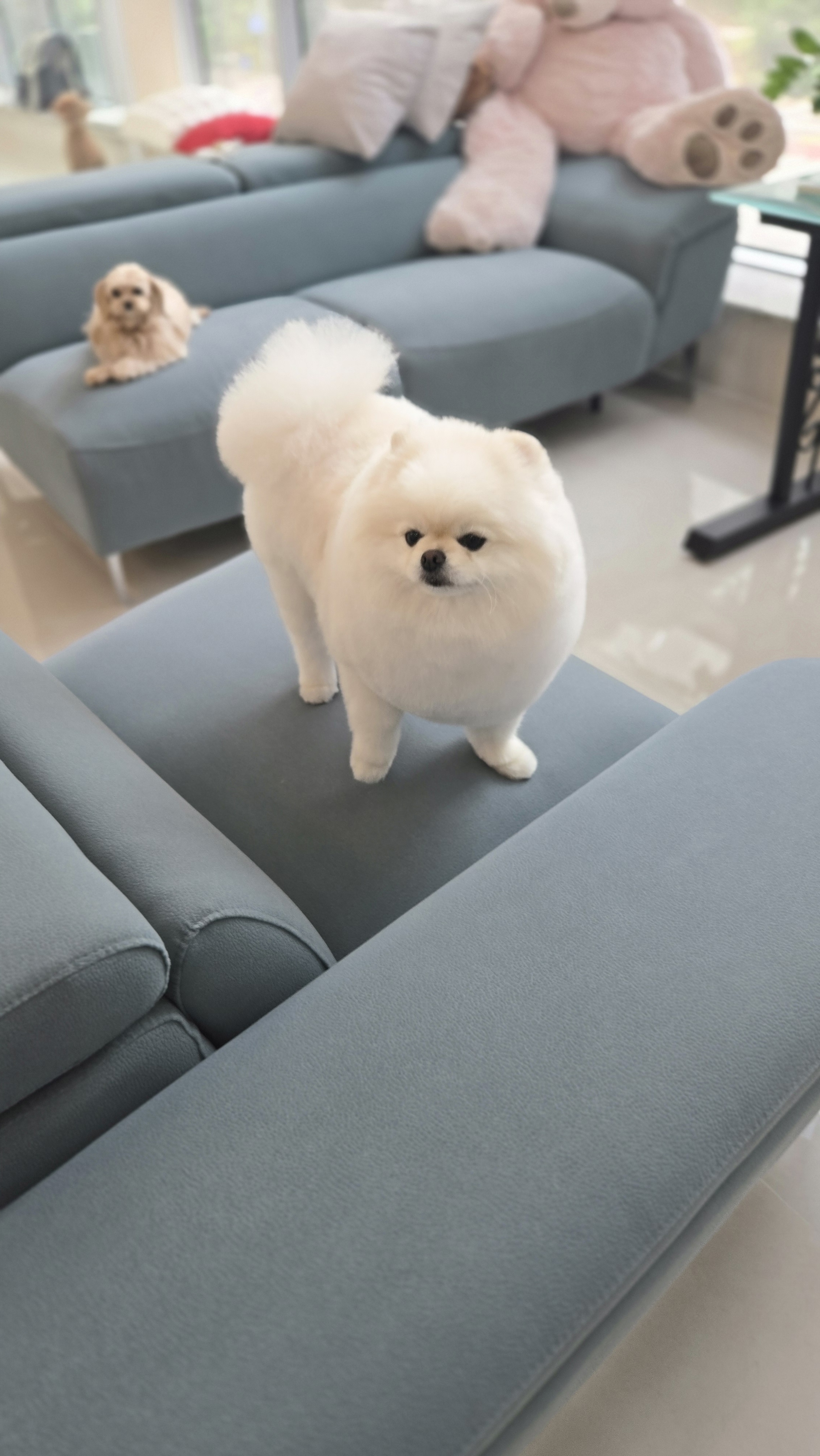 쁘띠멍 대표 이미지