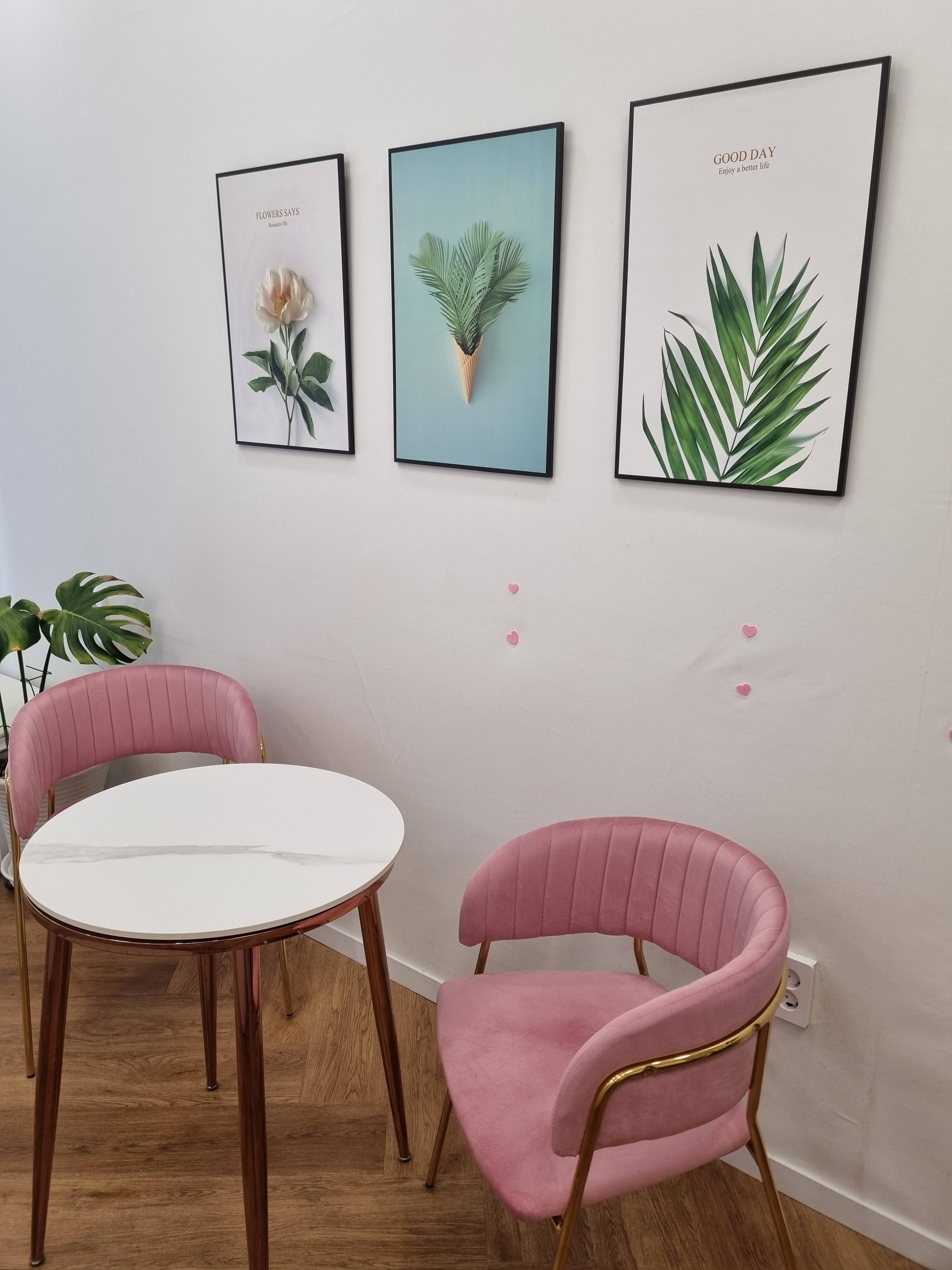 살롱드비숑 국가정원점 대표 이미지