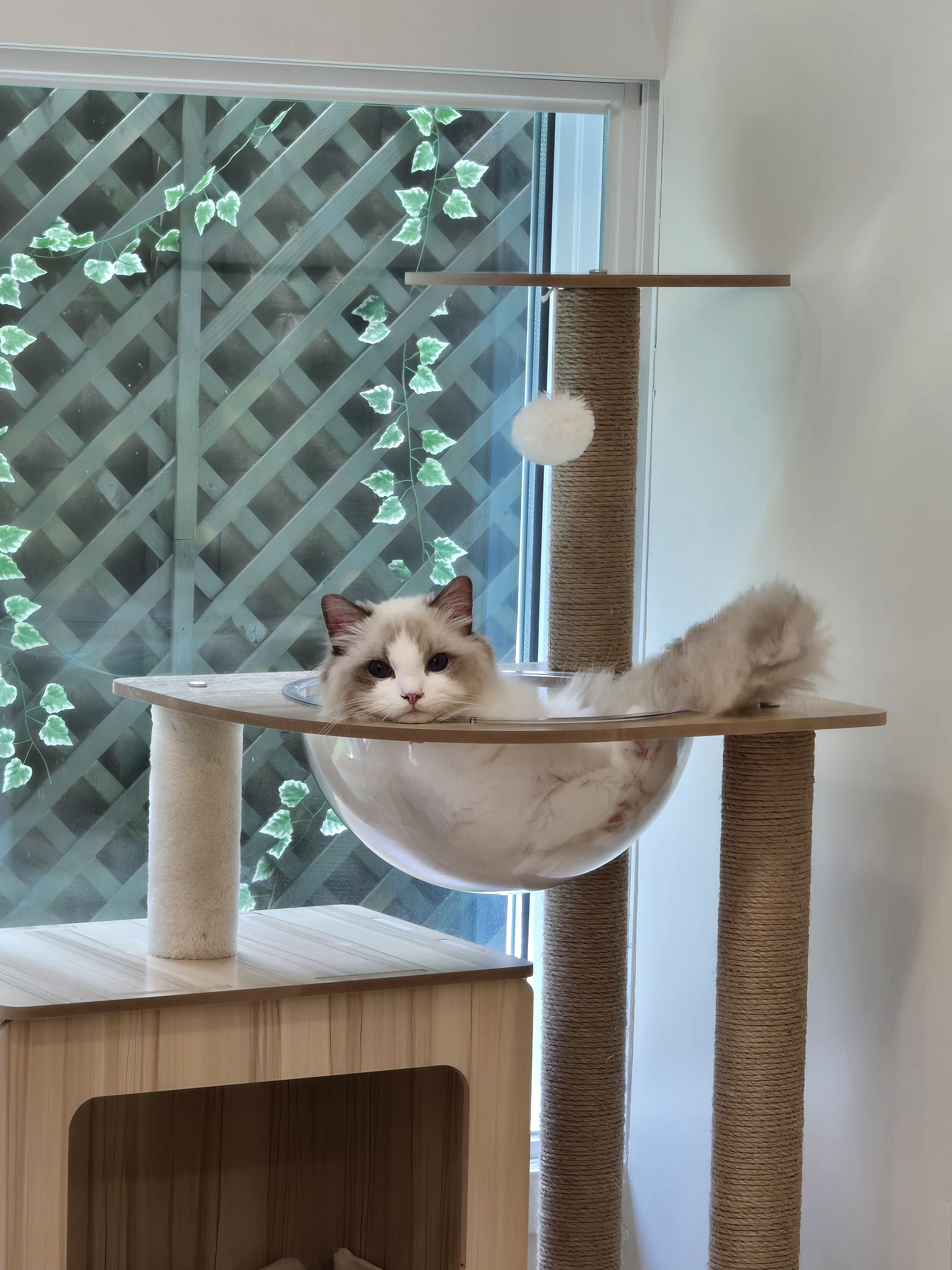 놀면묘하냥 카페 이미지