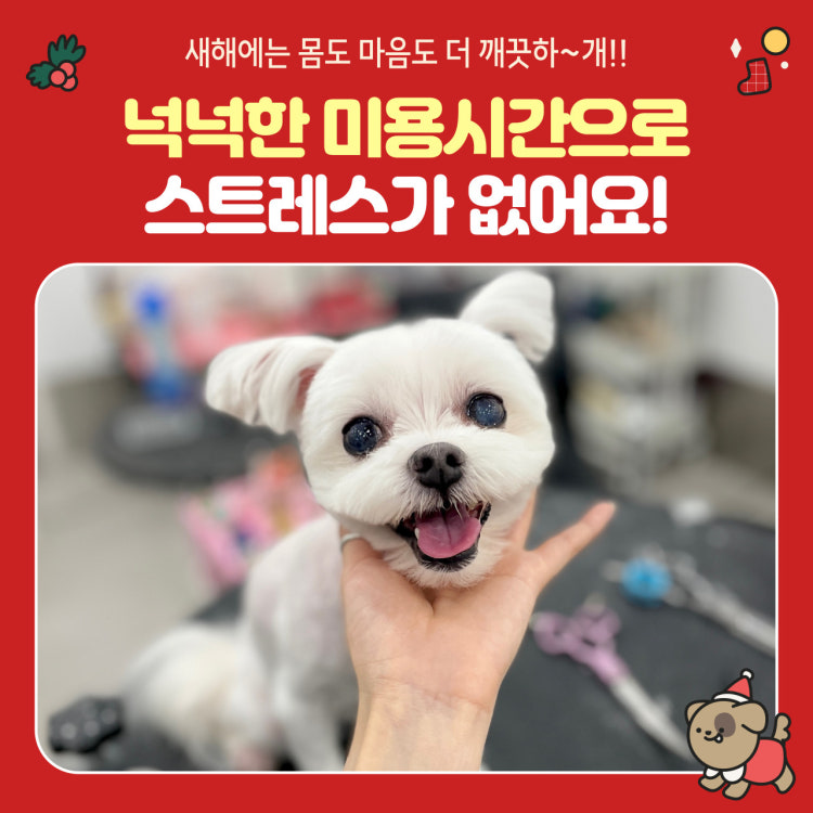 스타몽 대표 이미지