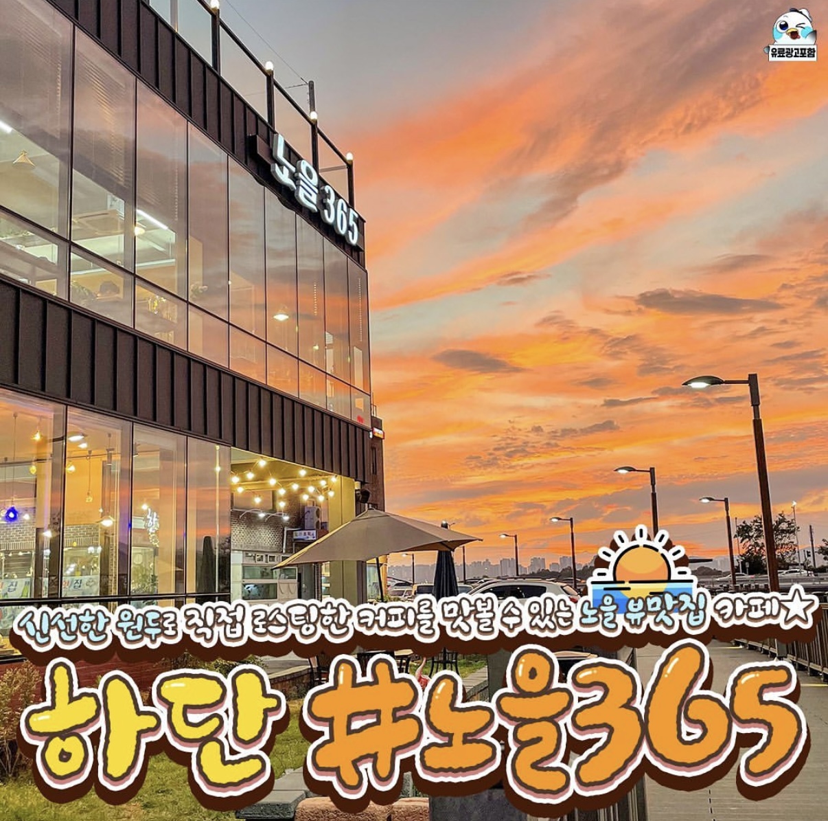 노을365