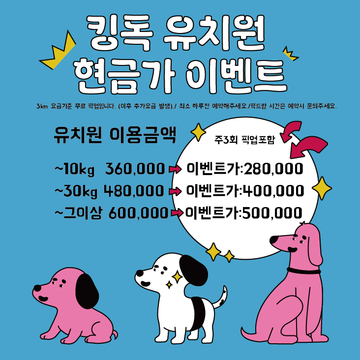 킹독 반려동물 동반 애견카페