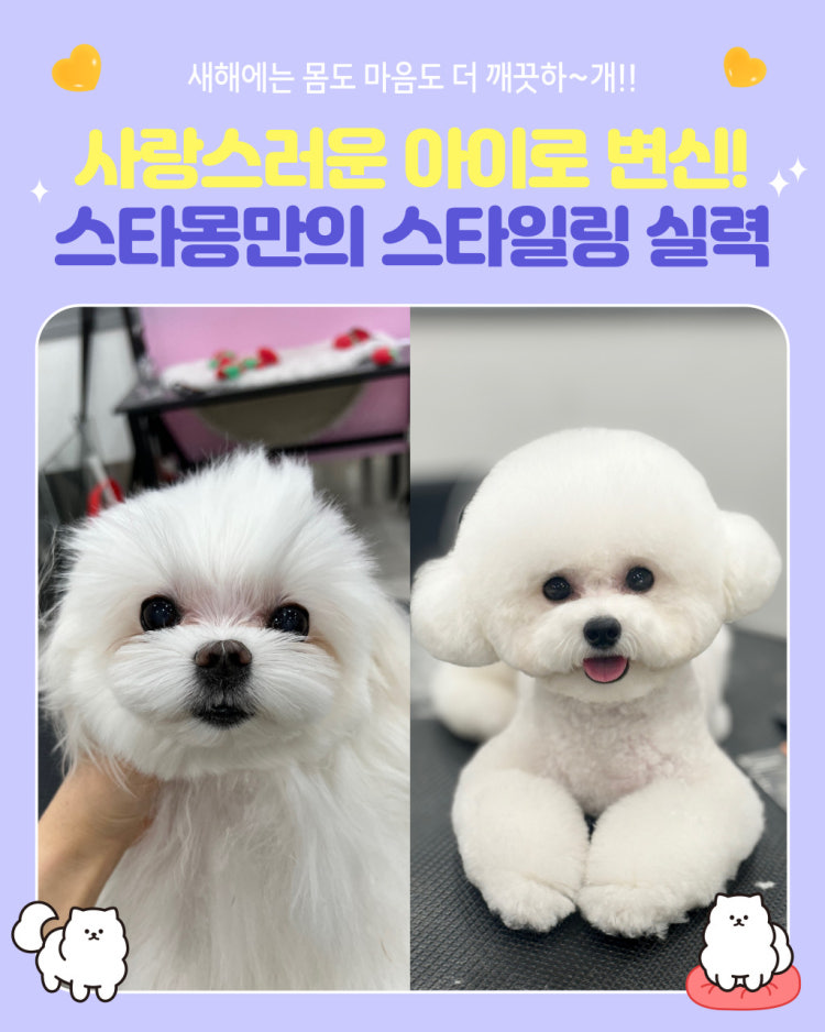스타몽본점 시설 내부 모습