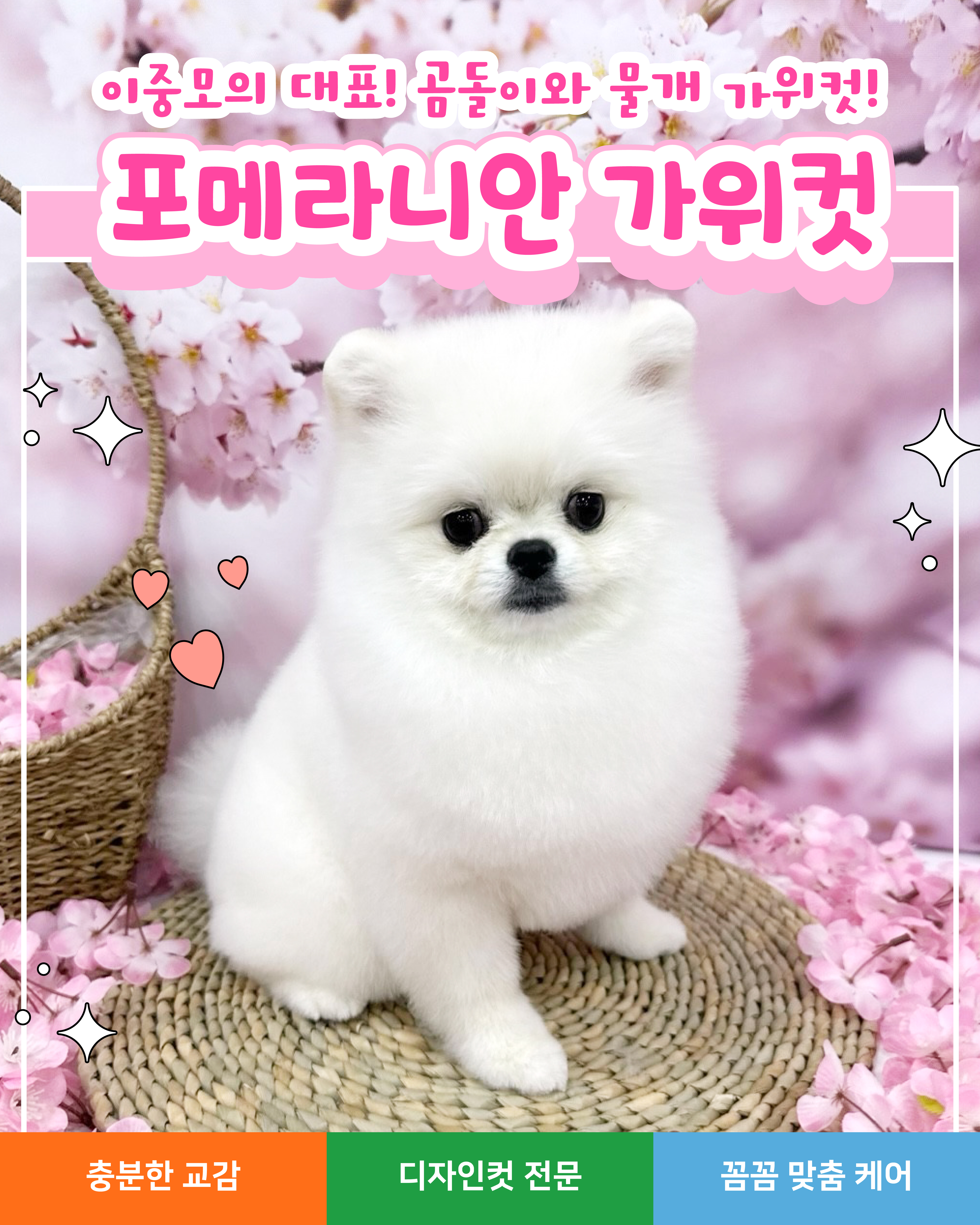 스타몽 강아지유치원&애견호텔&애견미용 대표 이미지