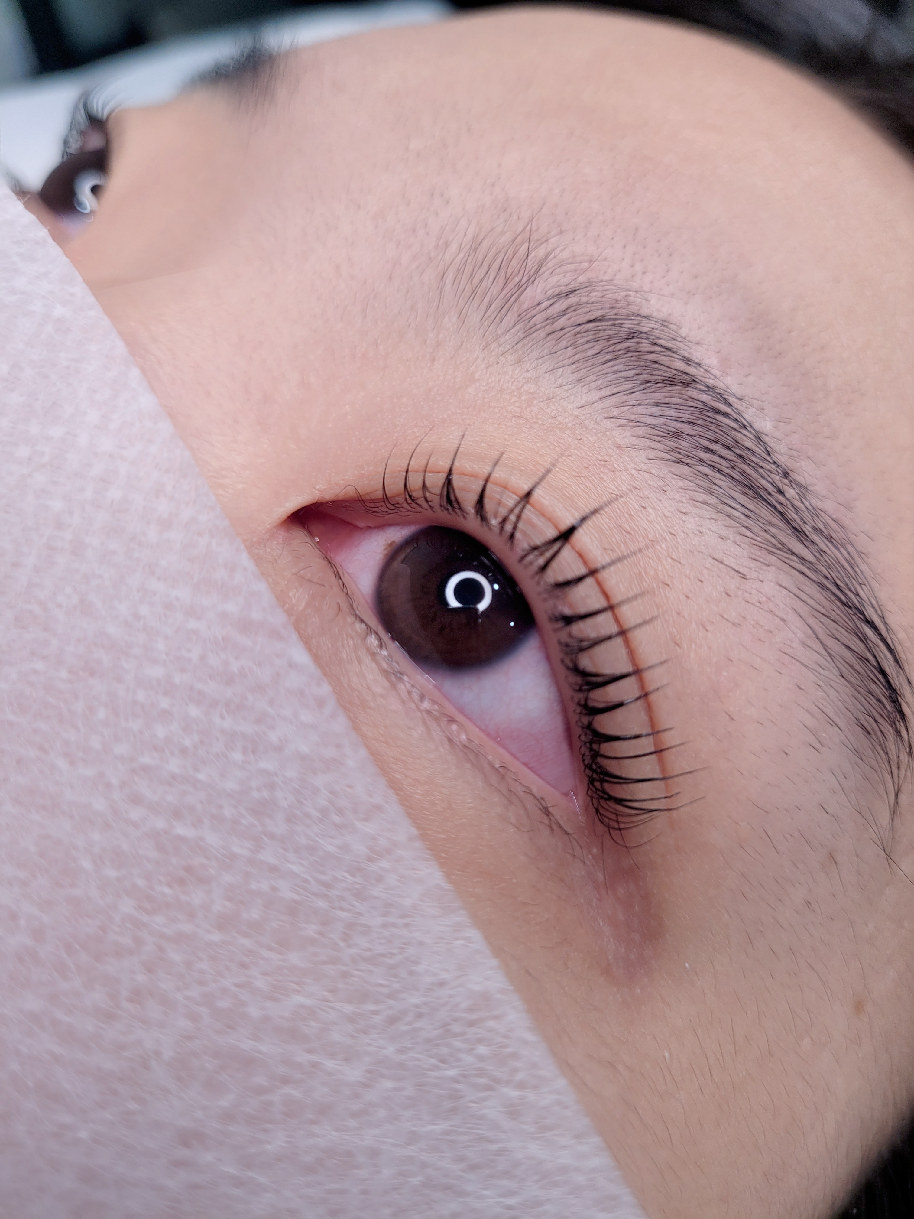 진브로우 대표 이미지