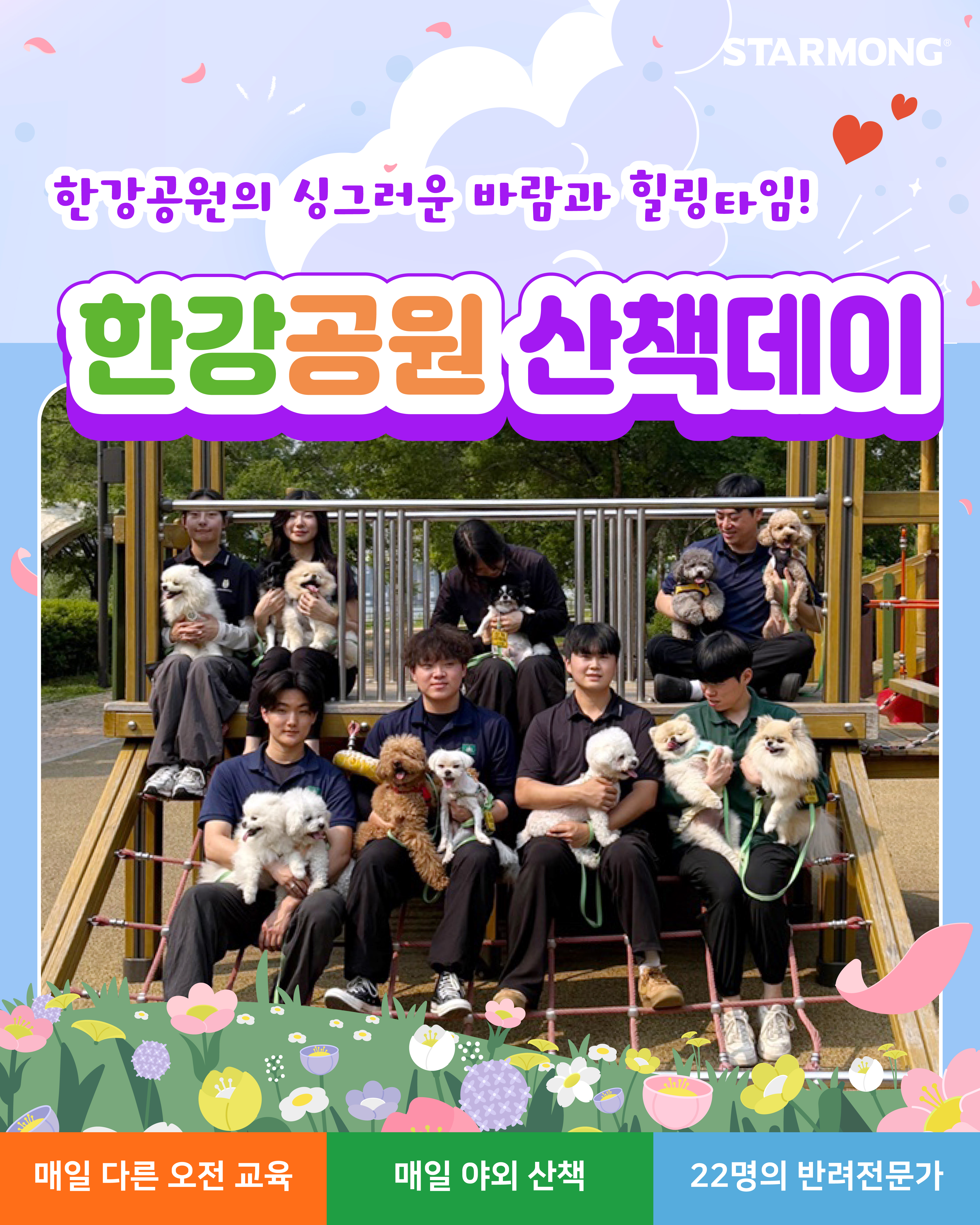 스타몽 강아지유치원&애견호텔&애견미용&애견훈련 대표 이미지