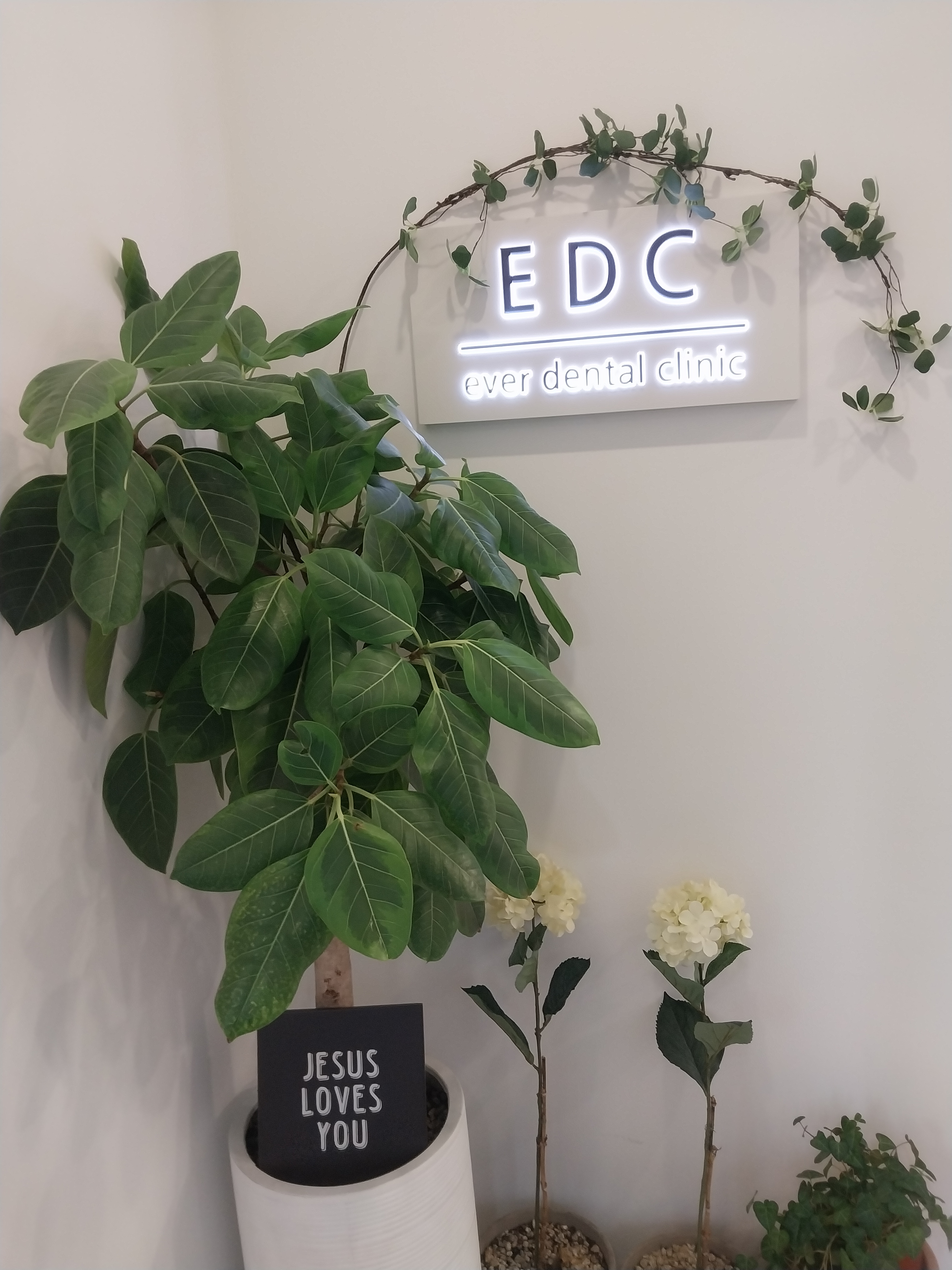 늘치과의원 대표 이미지