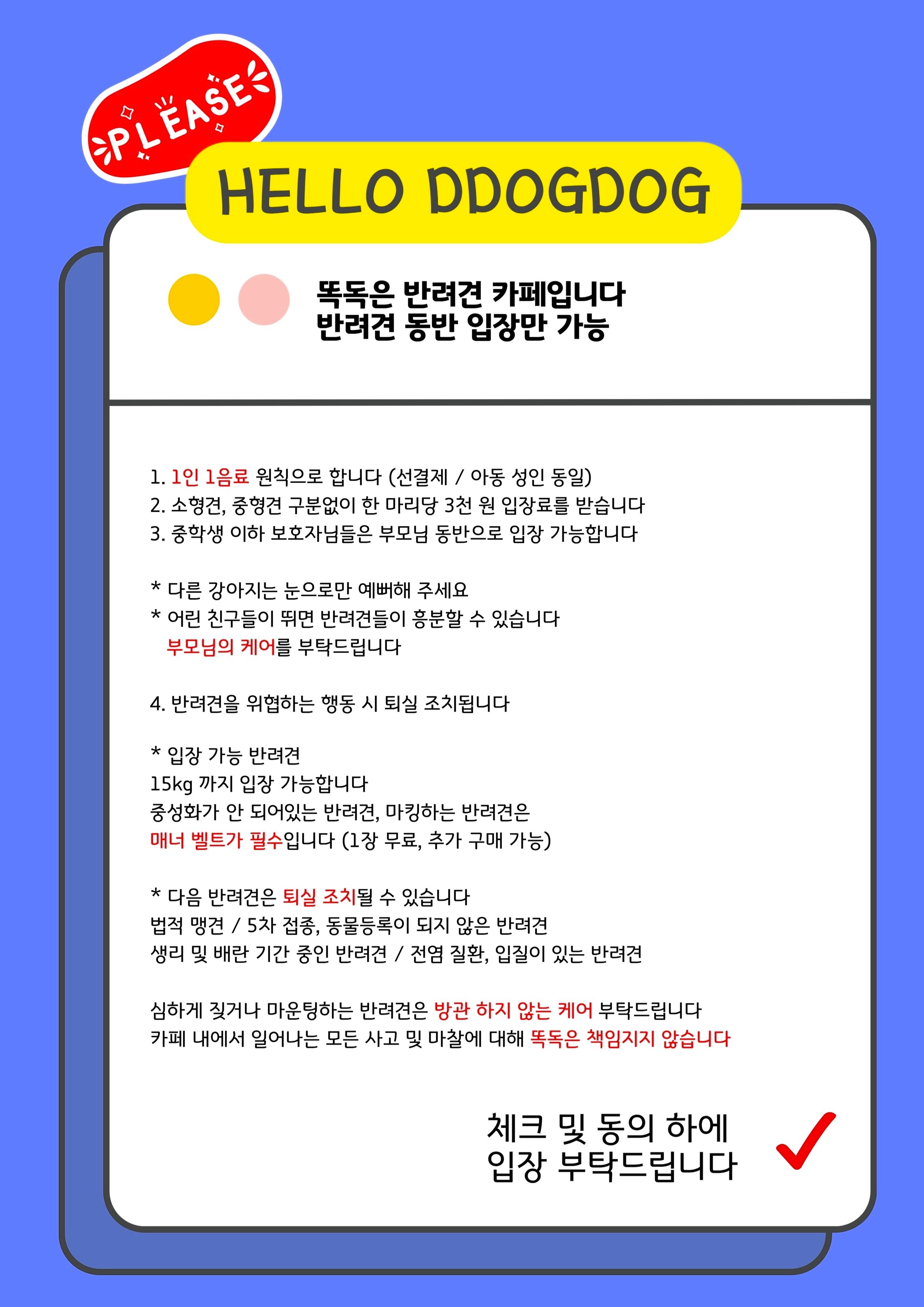 똑독 반려동물 동반 애견카페