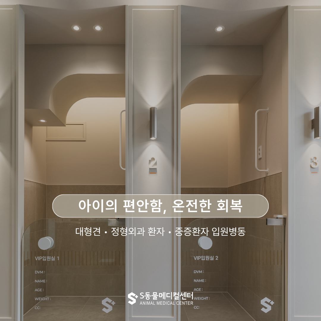 양산에스동물메디컬센터 대표 이미지