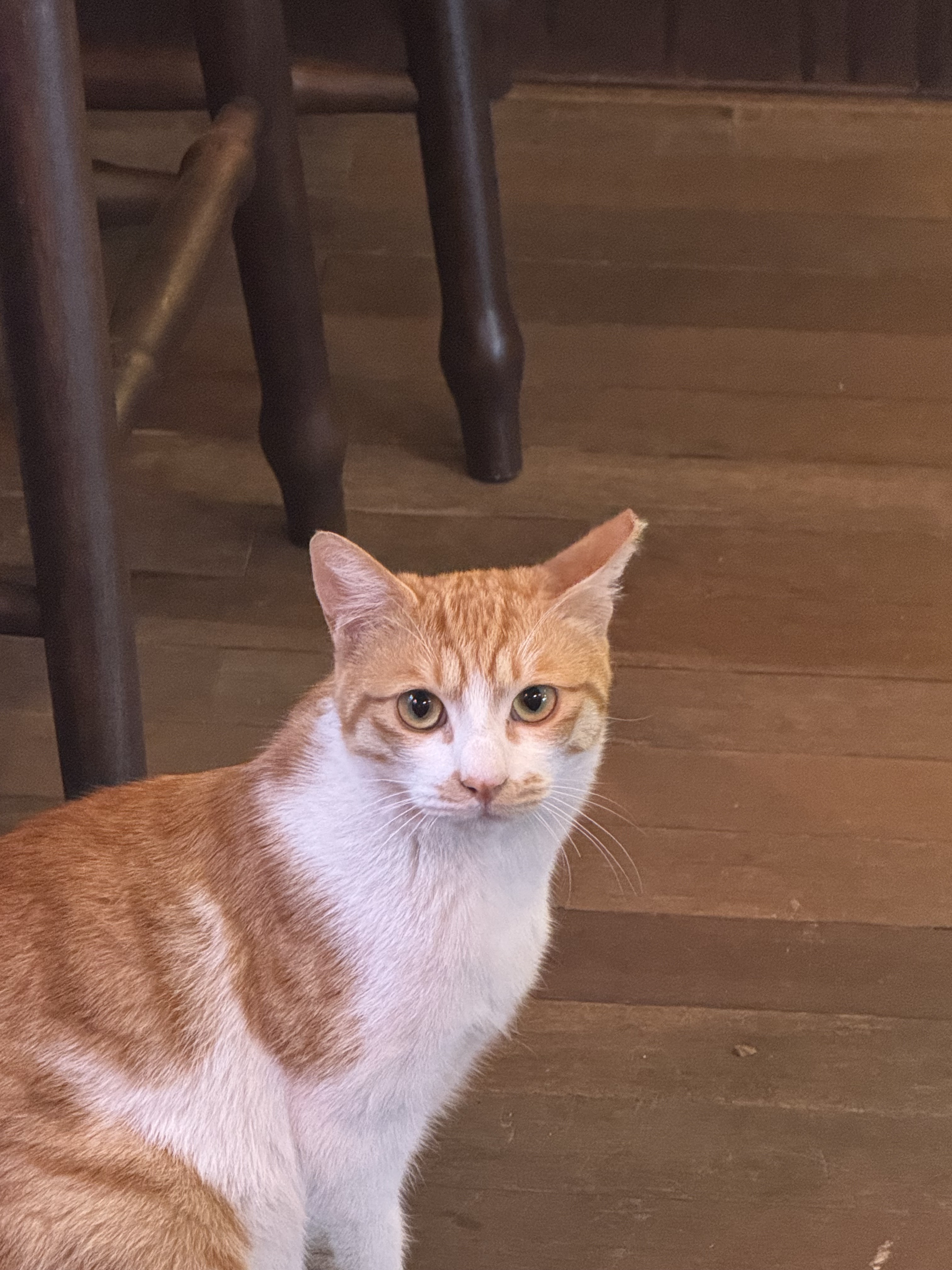 커피문화사 수유