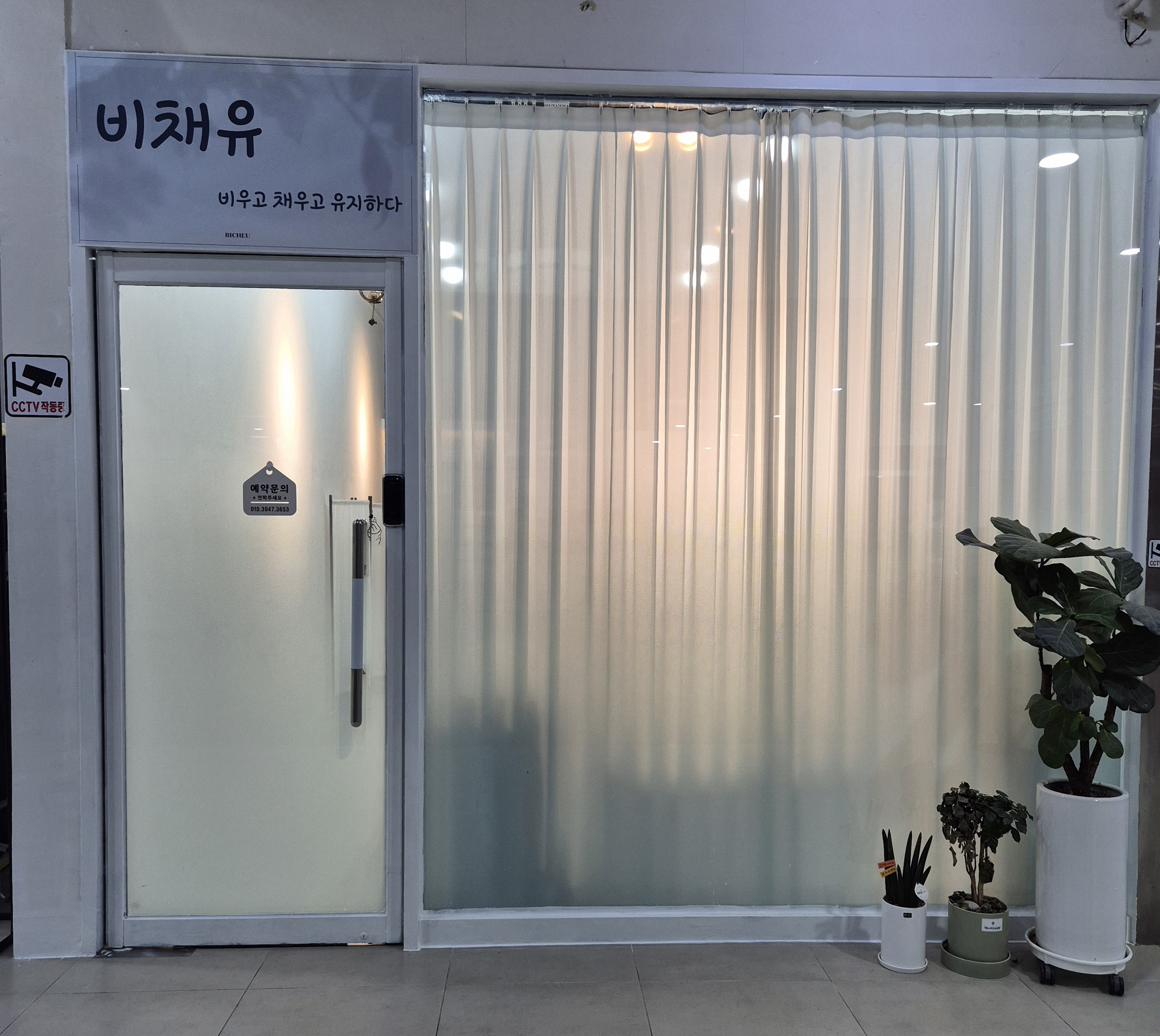 비채유뷰티