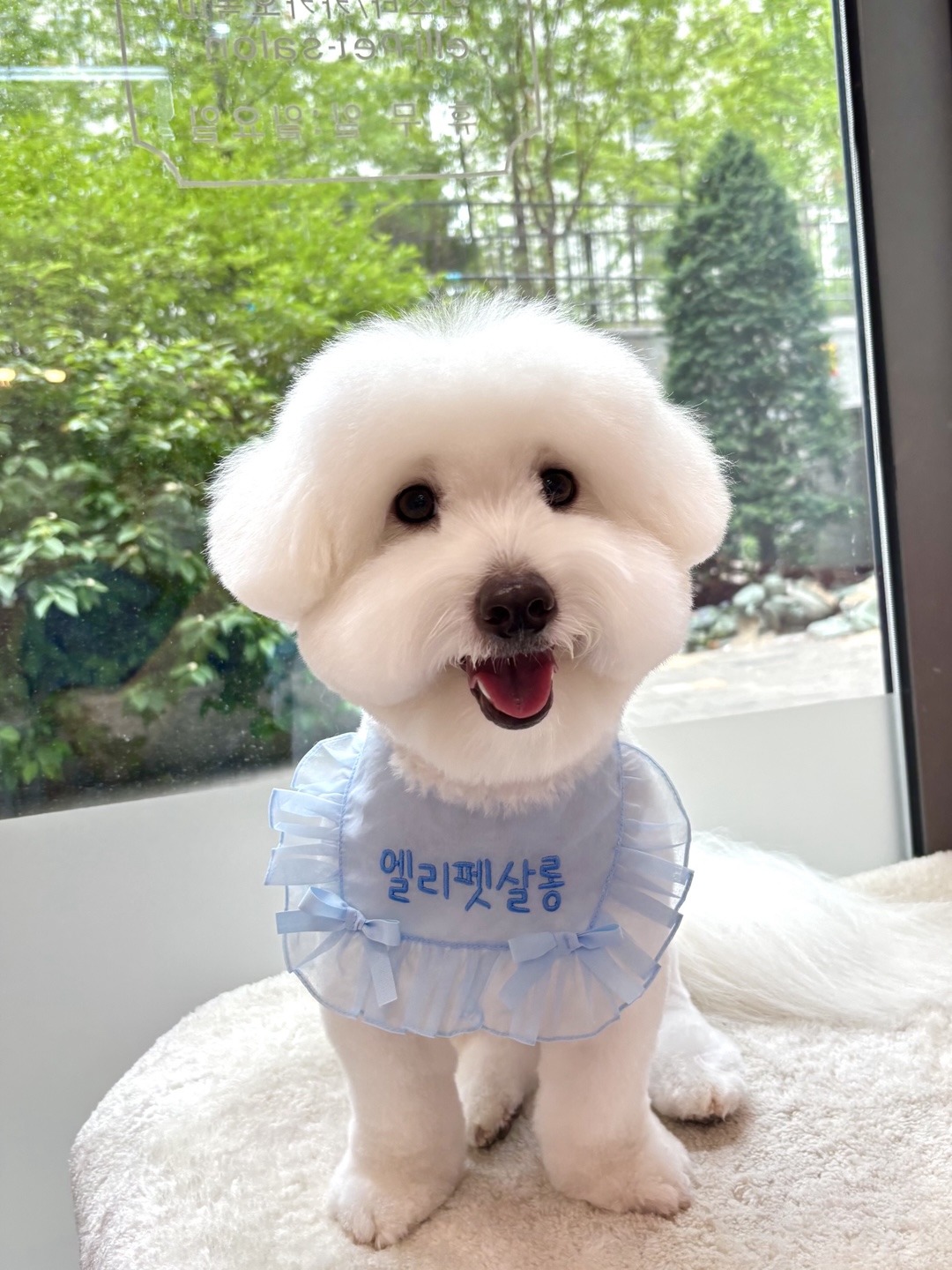 엘리펫살롱 대표 이미지