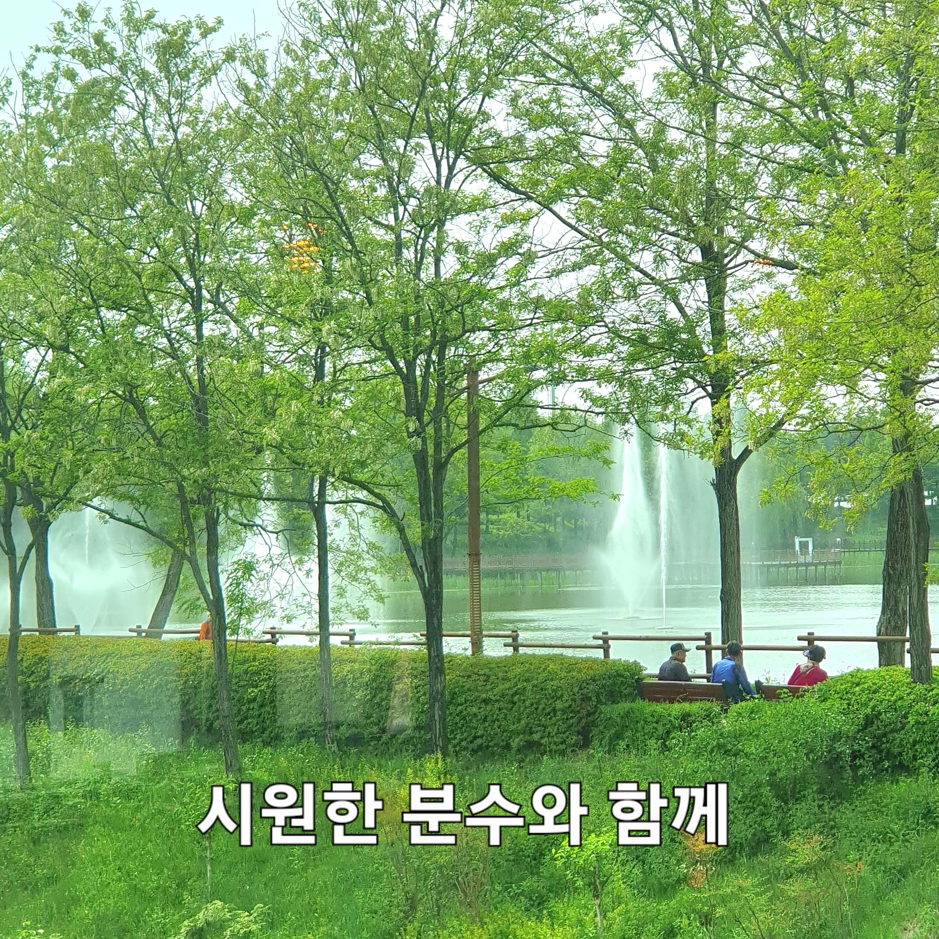 나루카페 대표 이미지
