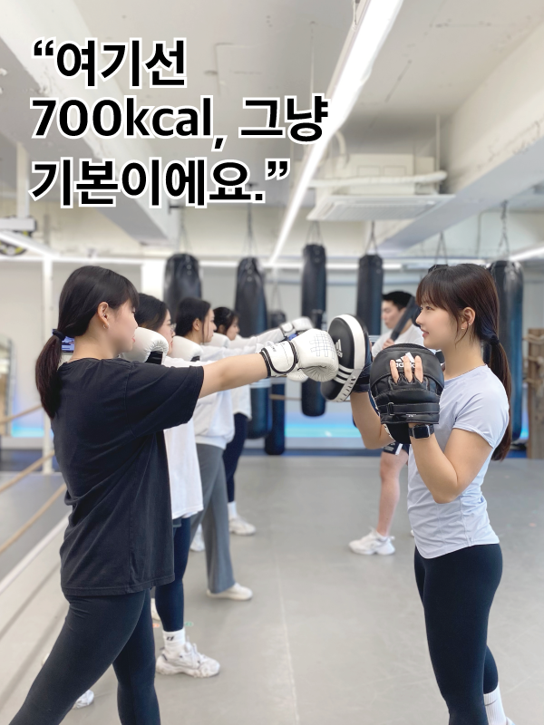 경기도 안양시 동안구 복싱체육관 원펀치 쓰리 칼로리 내부 모습 2