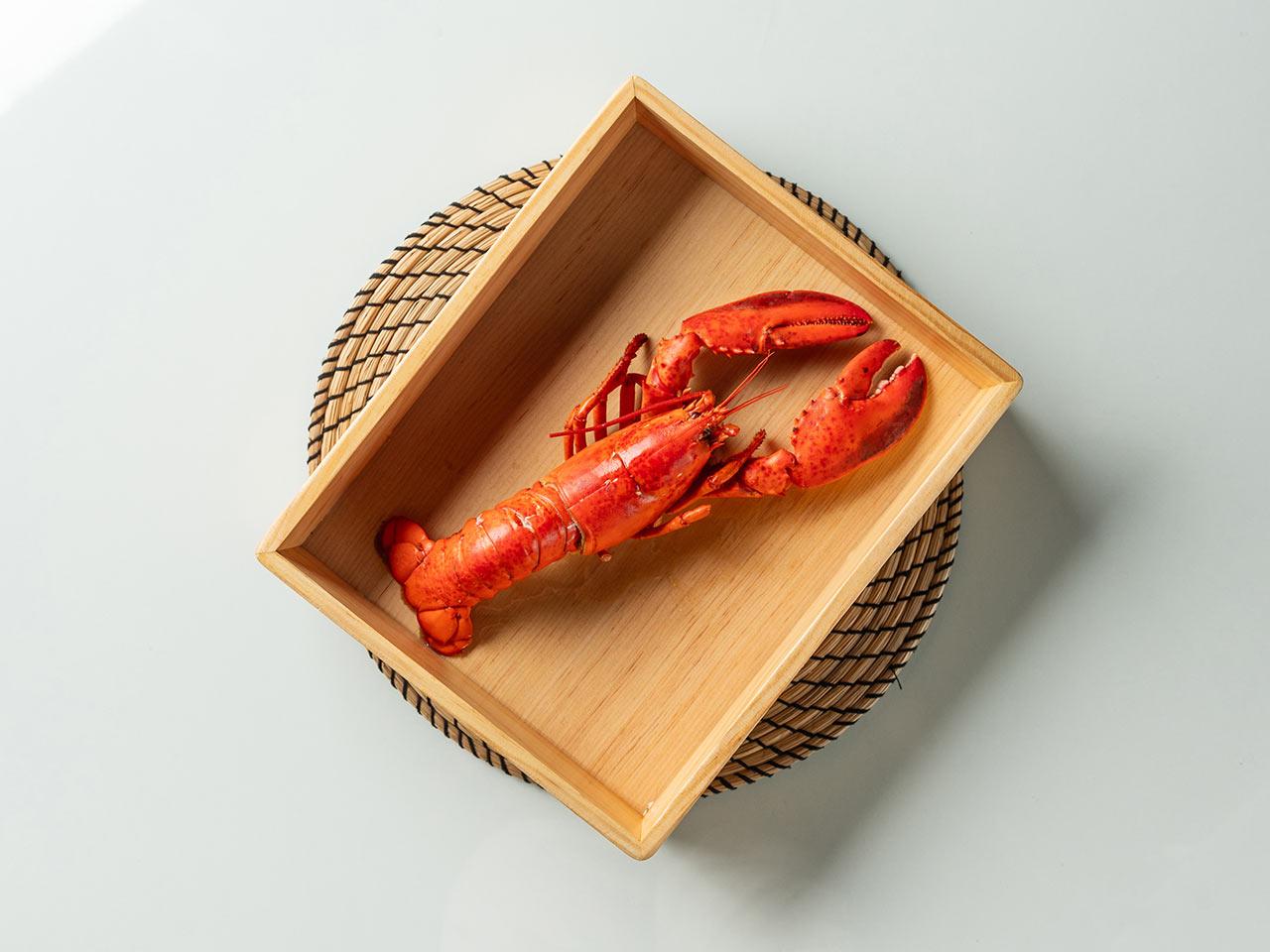 랍스터