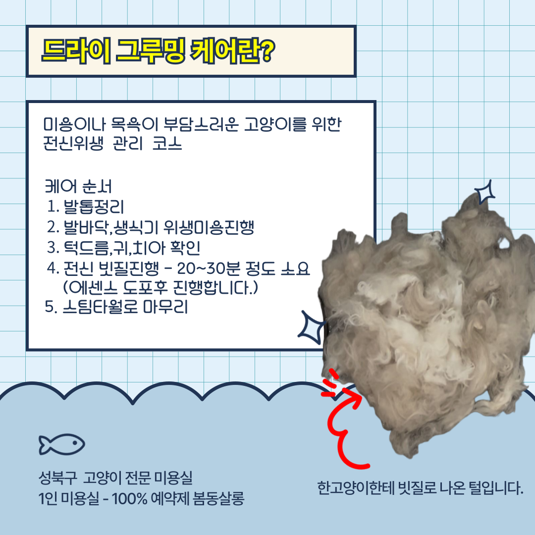 봄동살롱 대표 이미지