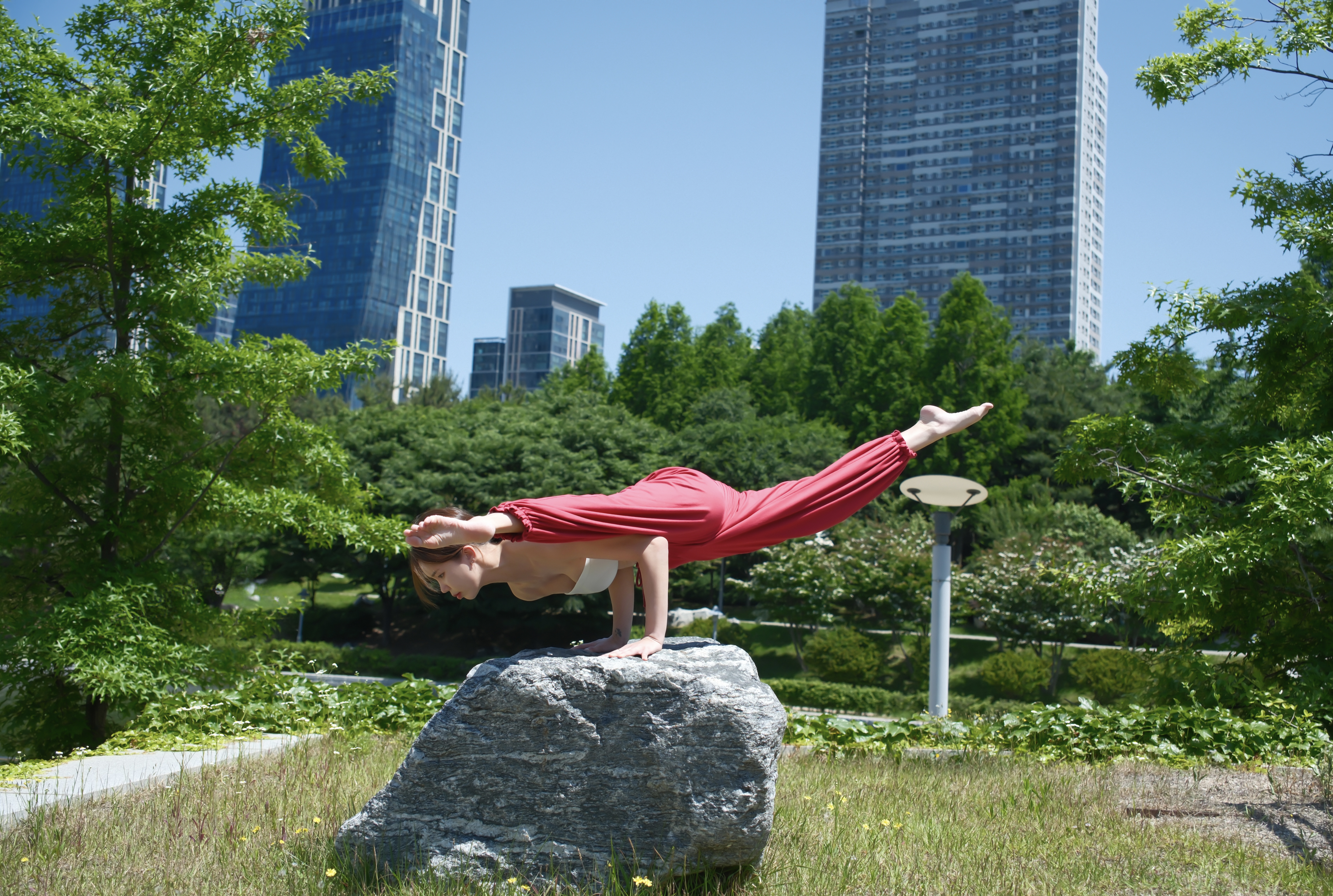 디르 요가 대표 이미지