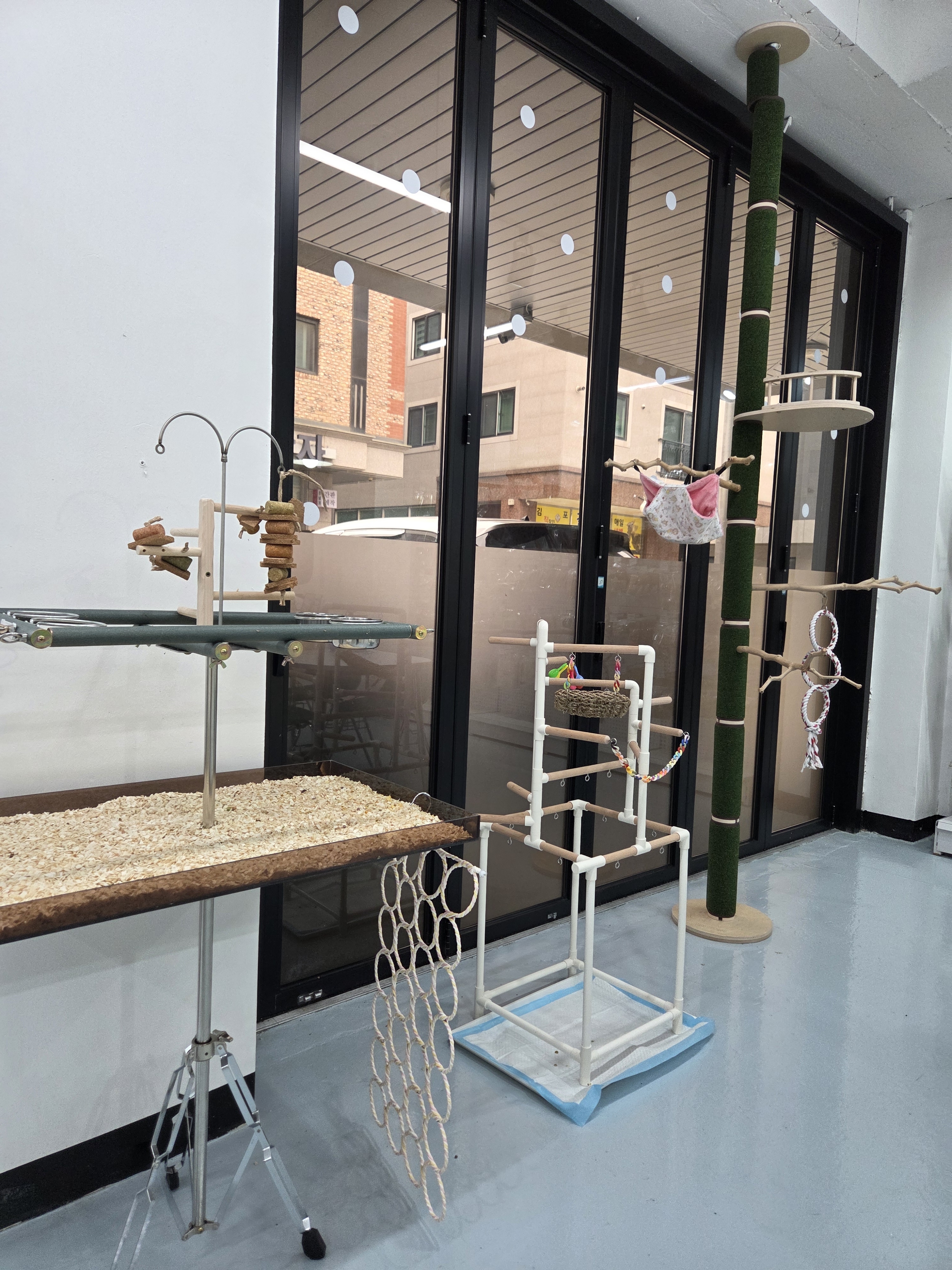 앵그라운드 대표 이미지