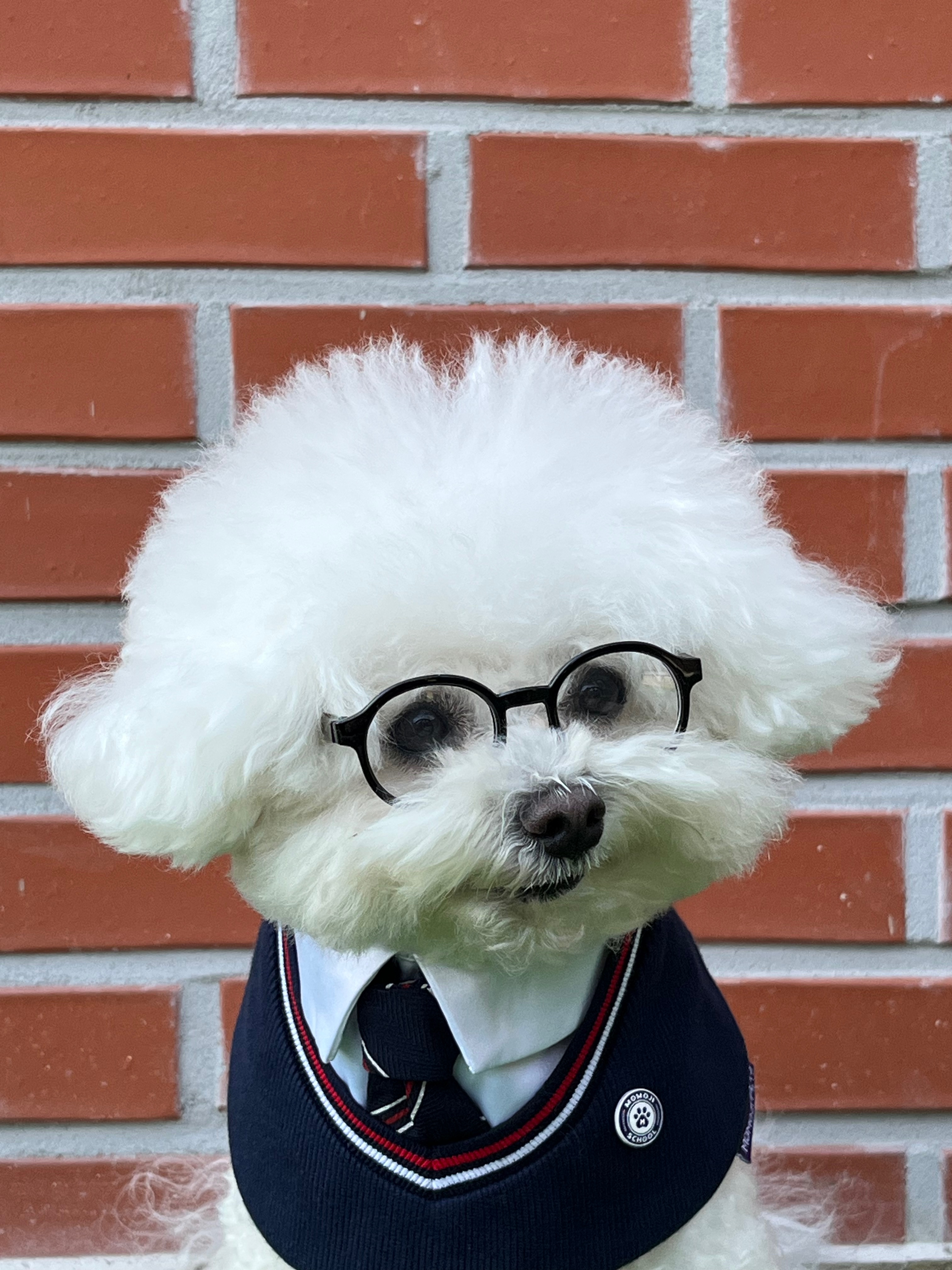 도기너스 대표 이미지