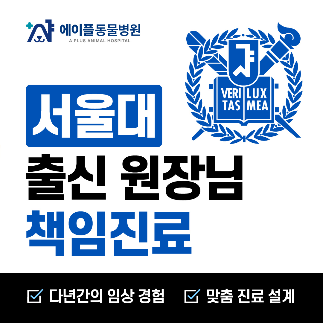 에이플동물병원