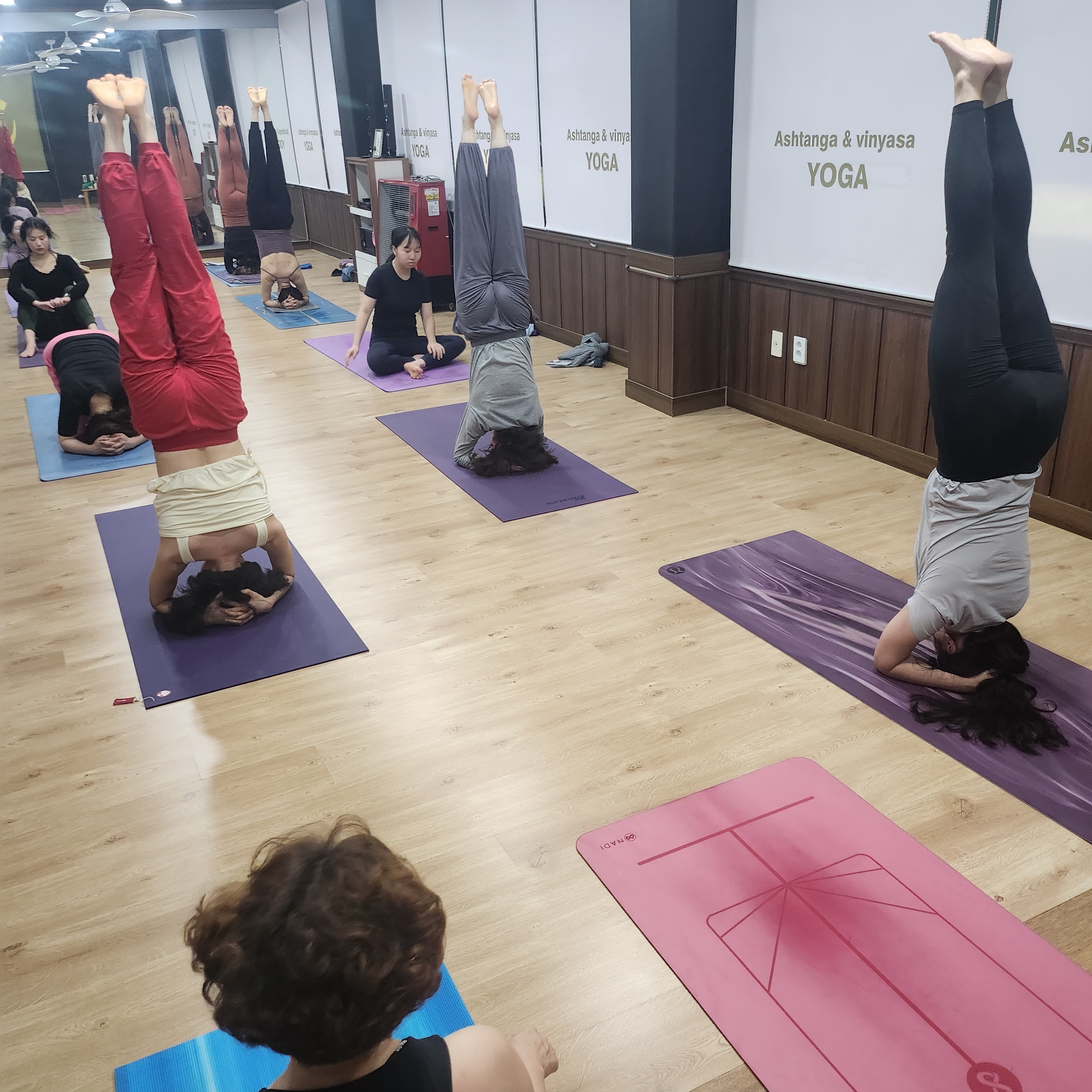 아쉬탕가빈야사요가원 대표 이미지