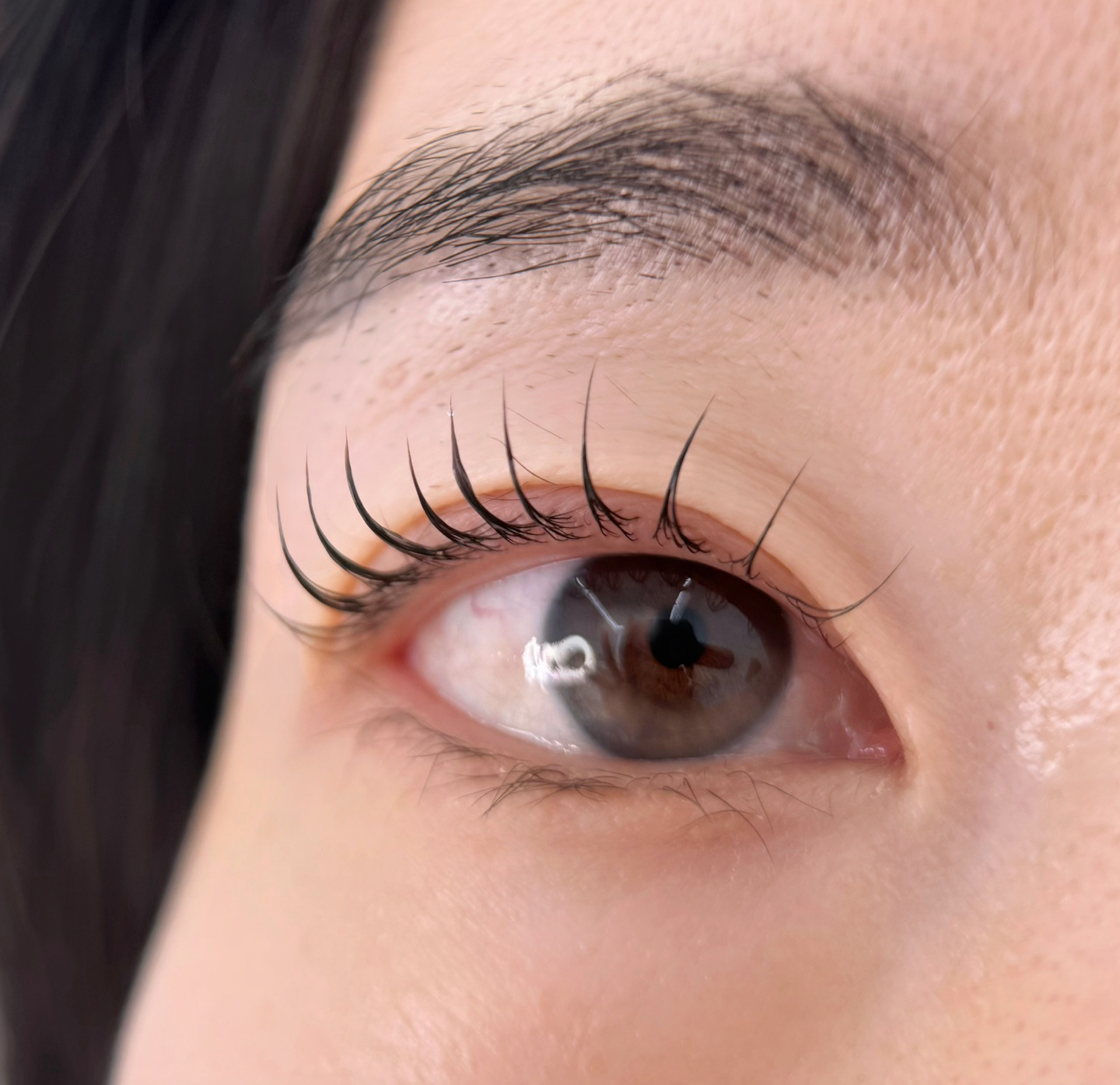 디데이브로우 대표 이미지