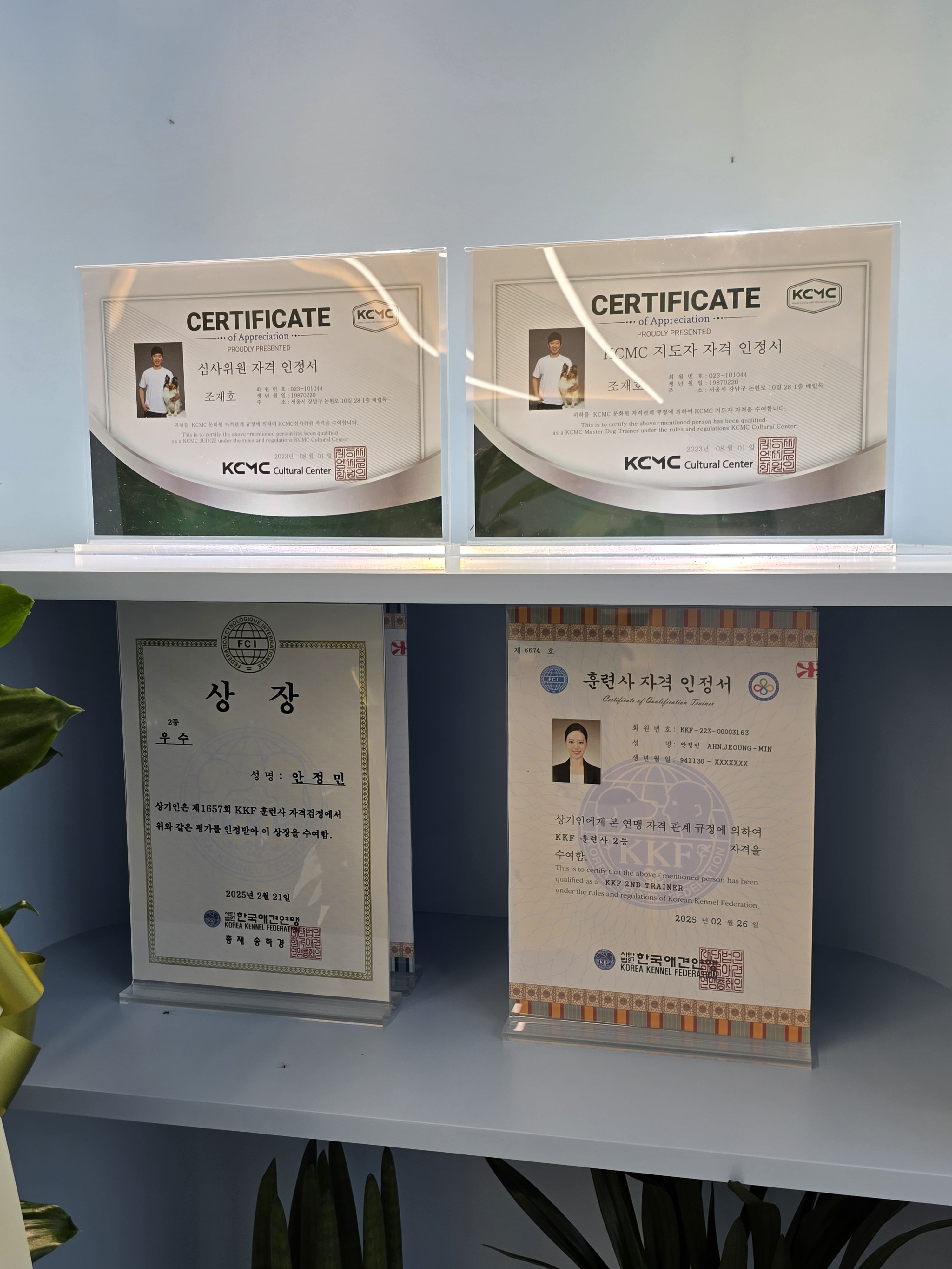 베럴독 대표 이미지