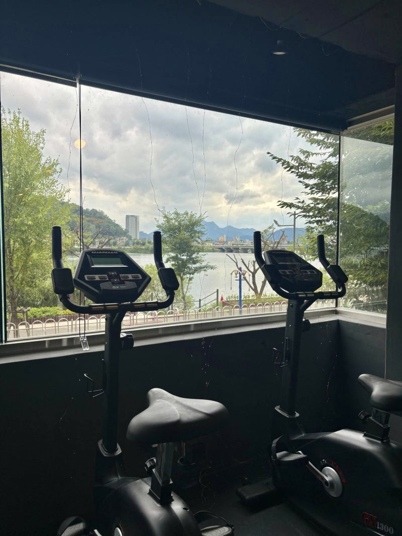 핏불짐 대표 이미지