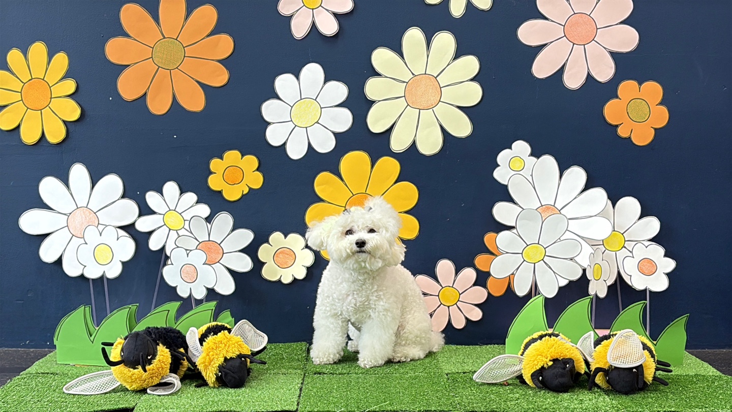 프리독스 대표 이미지