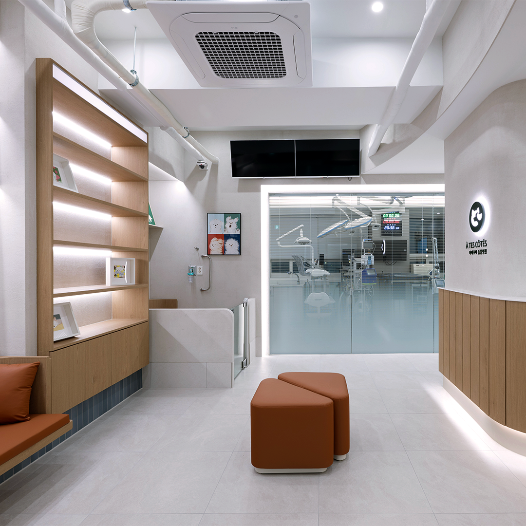 아떼꼬떼 동물병원 대표 이미지