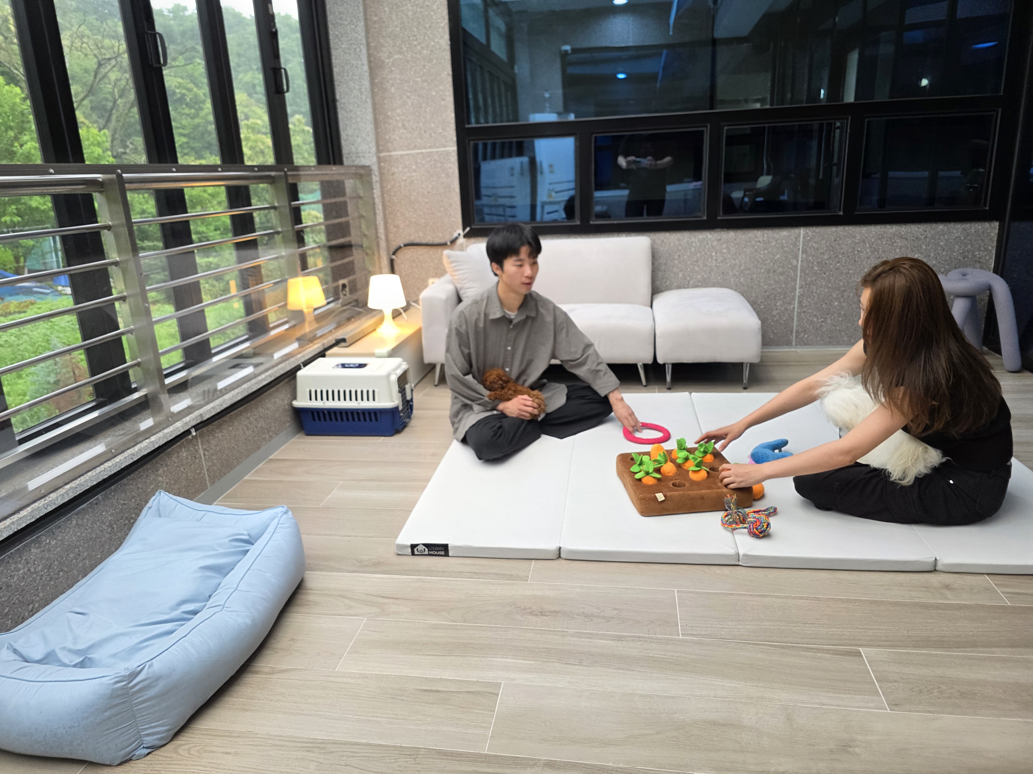 베럴독 강아지 훈련소 대표 이미지