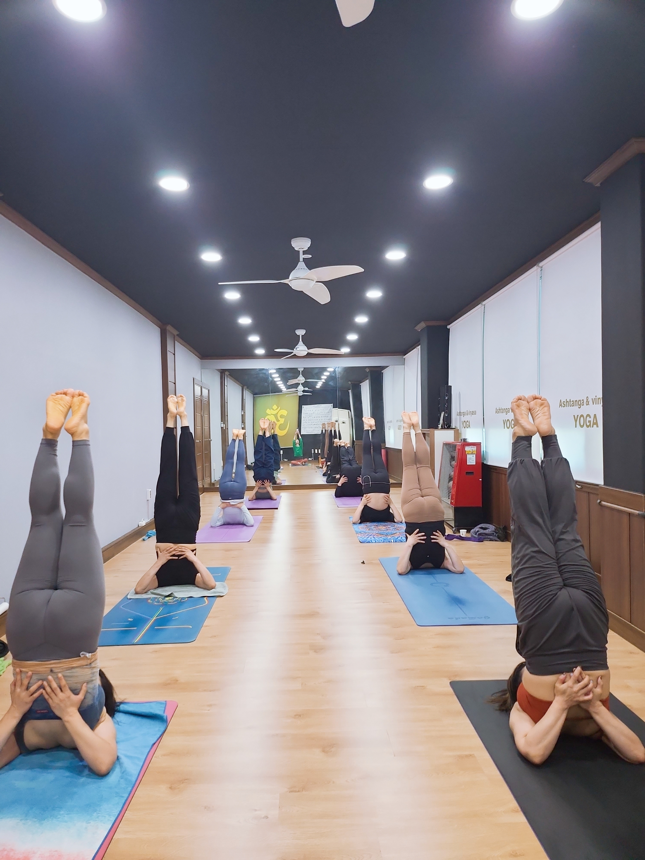 아쉬탕가빈야사요가원 대표 이미지