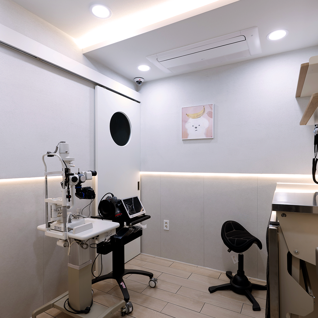 아떼꼬떼 동물병원 내부 이미지