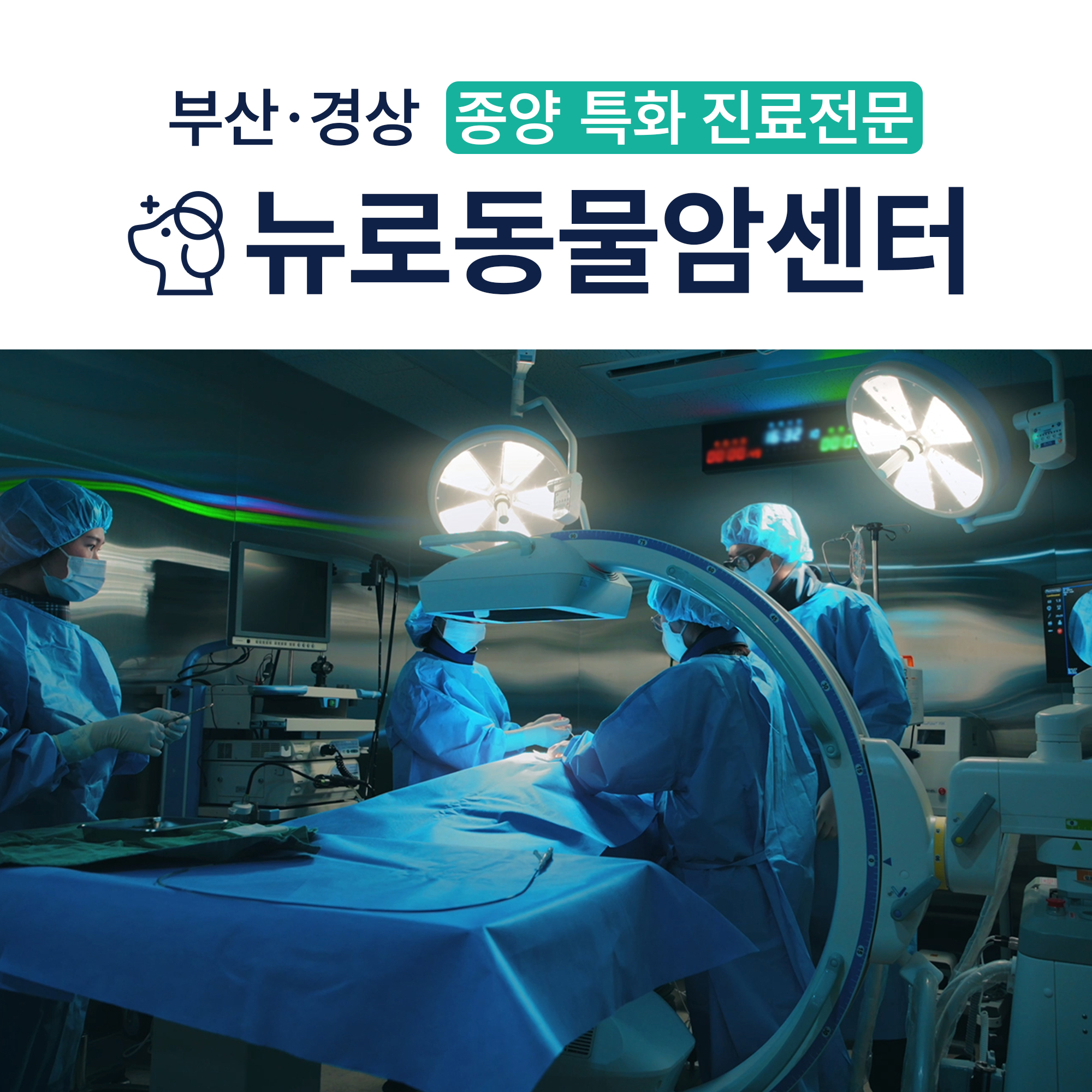 뉴로동물암센터