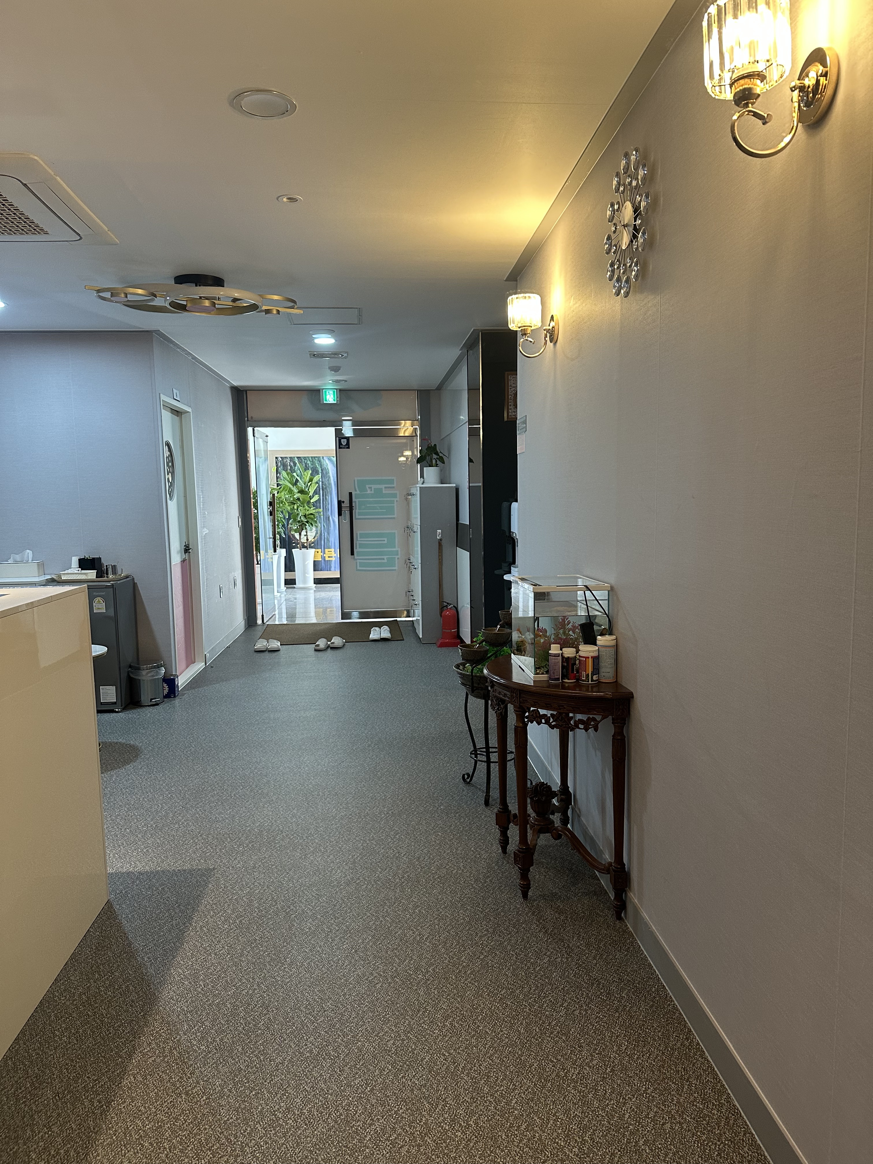 골든 photo 3