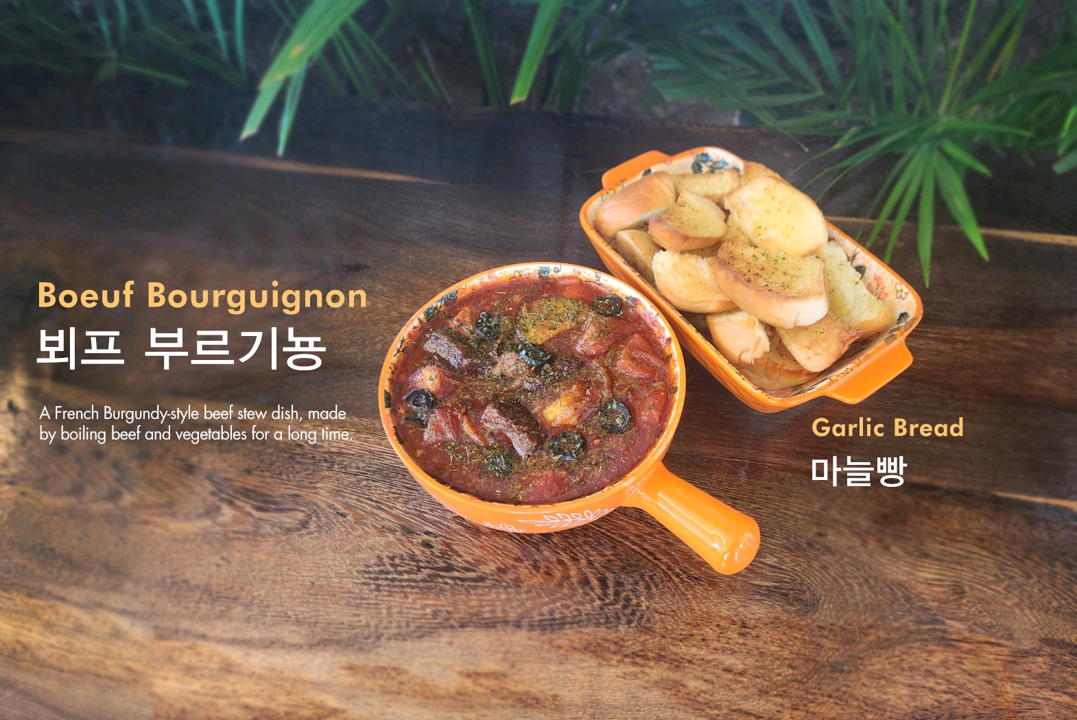 앤아더 반려동물 동반 애견카페