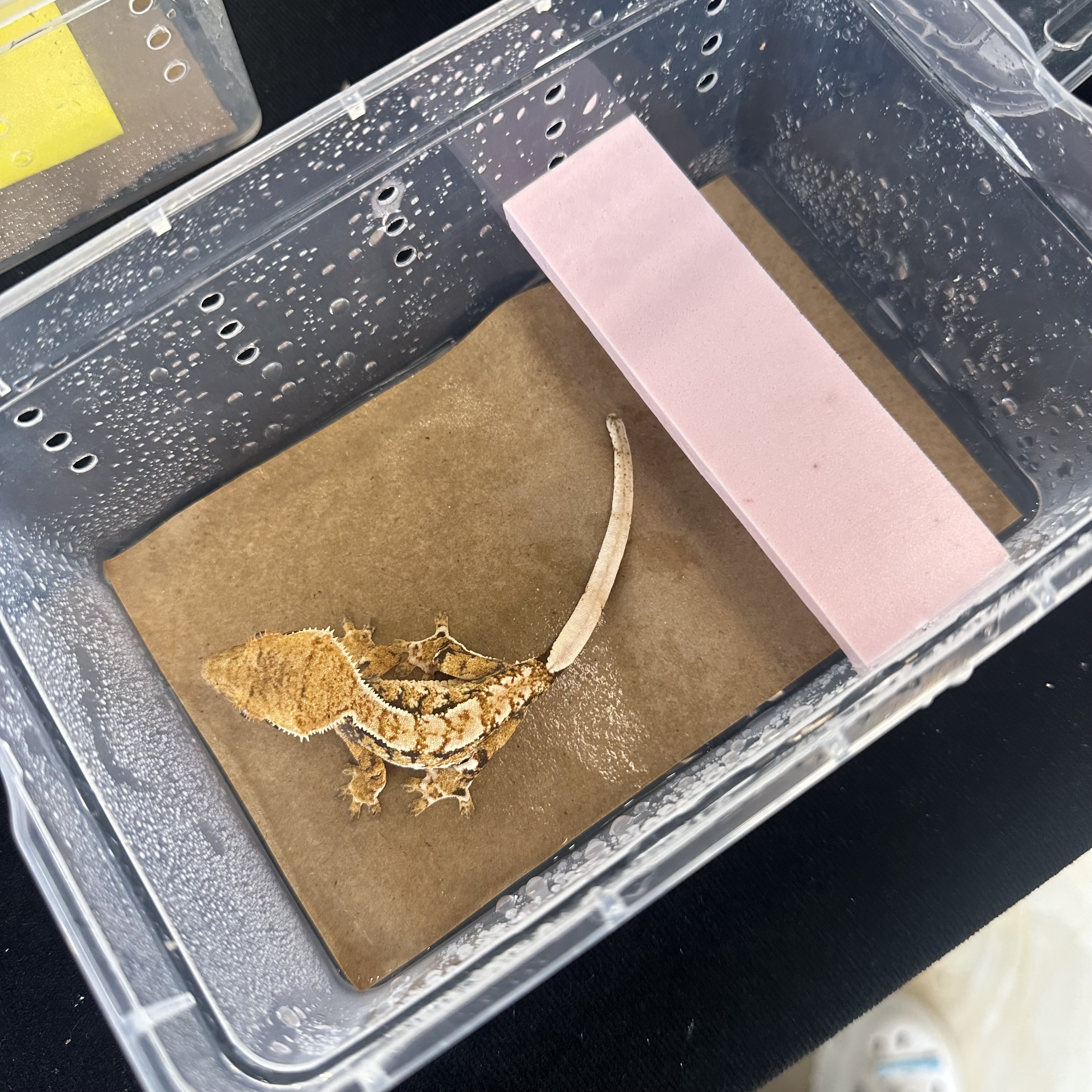 에코렙타일 대표 이미지