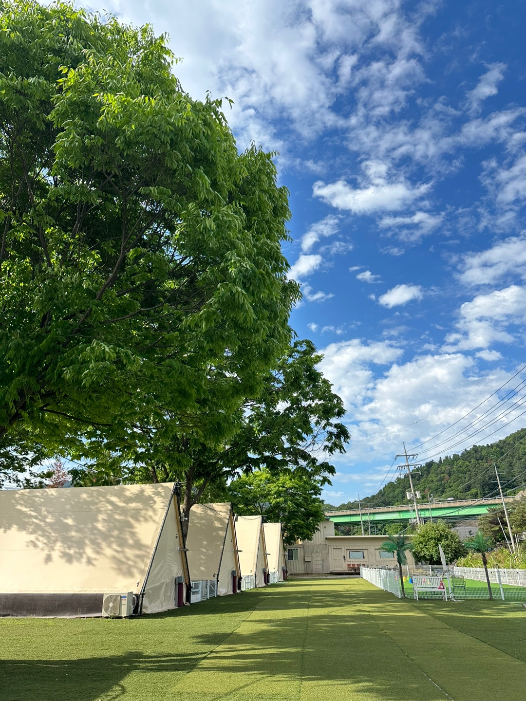 스윗피크닉