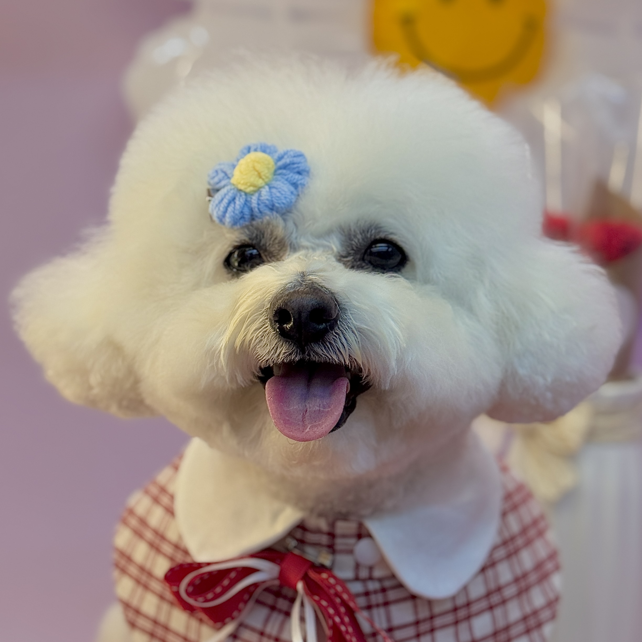 멍스테이 수원점 대표 이미지