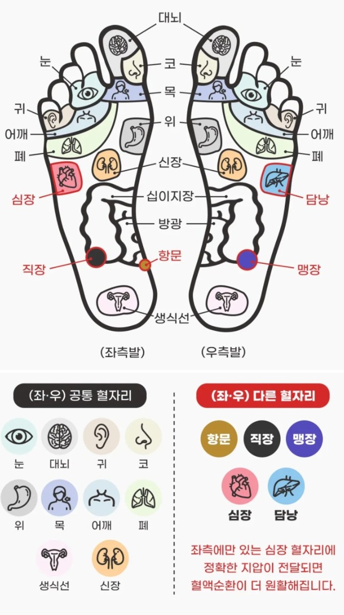 이야시아로마 photo 8