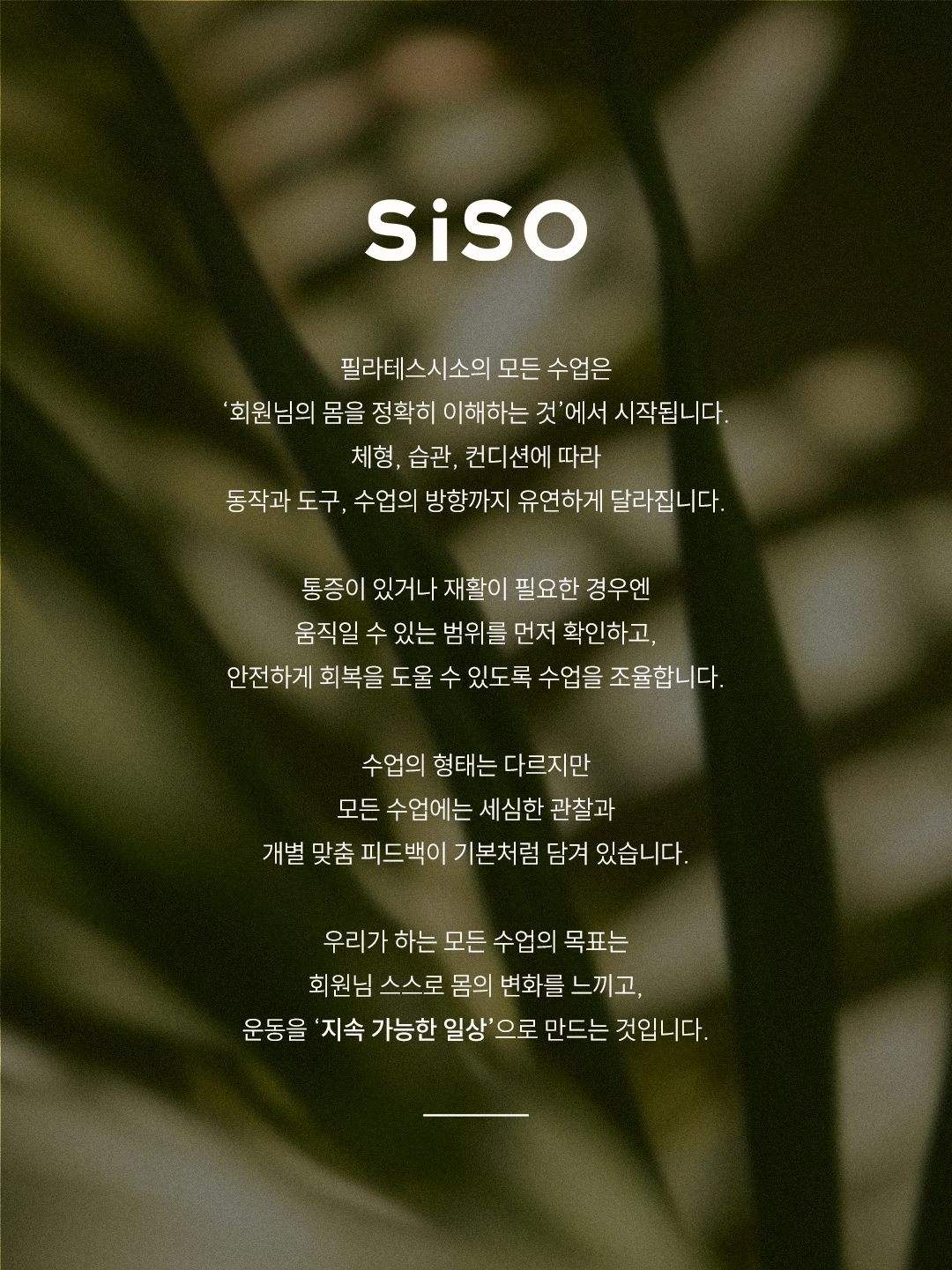 필라테스시소 대표 이미지