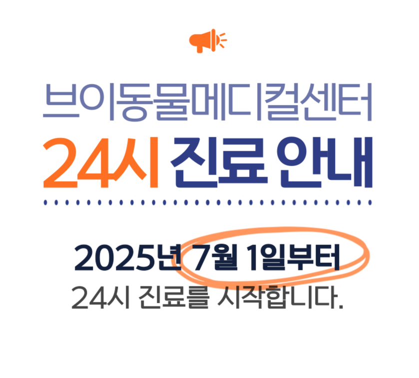 브이동물메디컬센터
