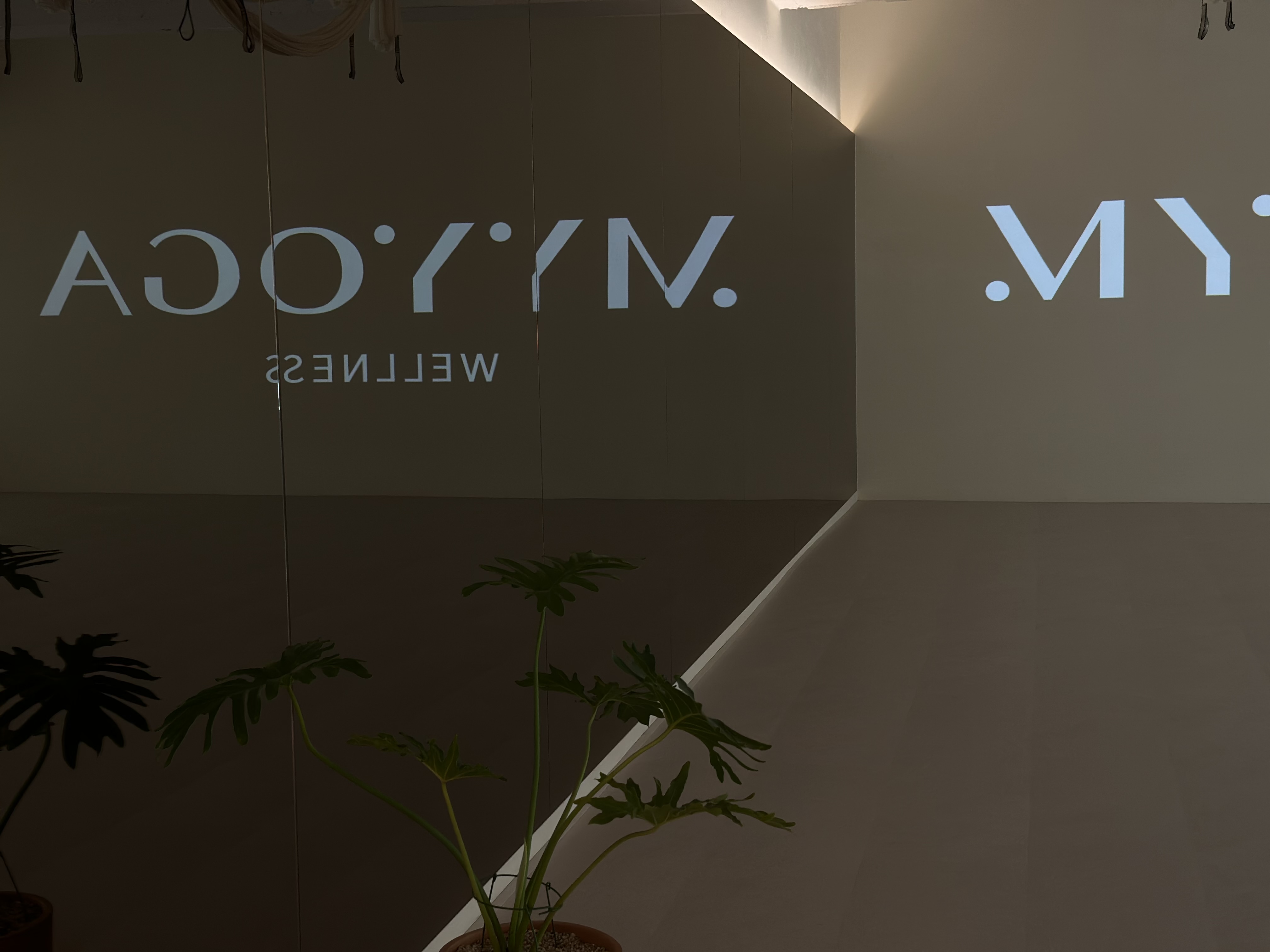 마이요가 목동 대표 이미지