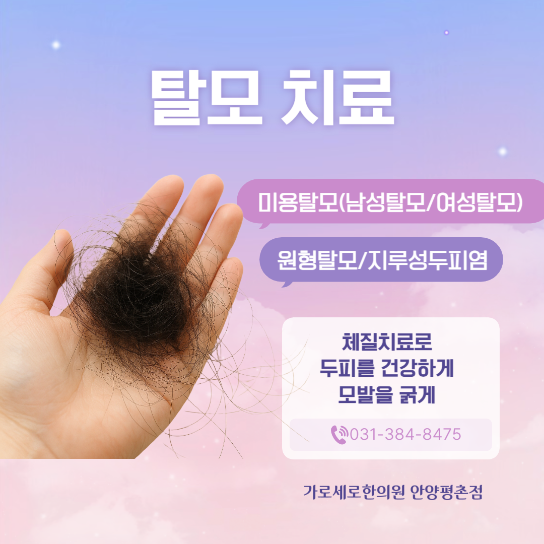가로세로한의원 안양평촌 대표 이미지