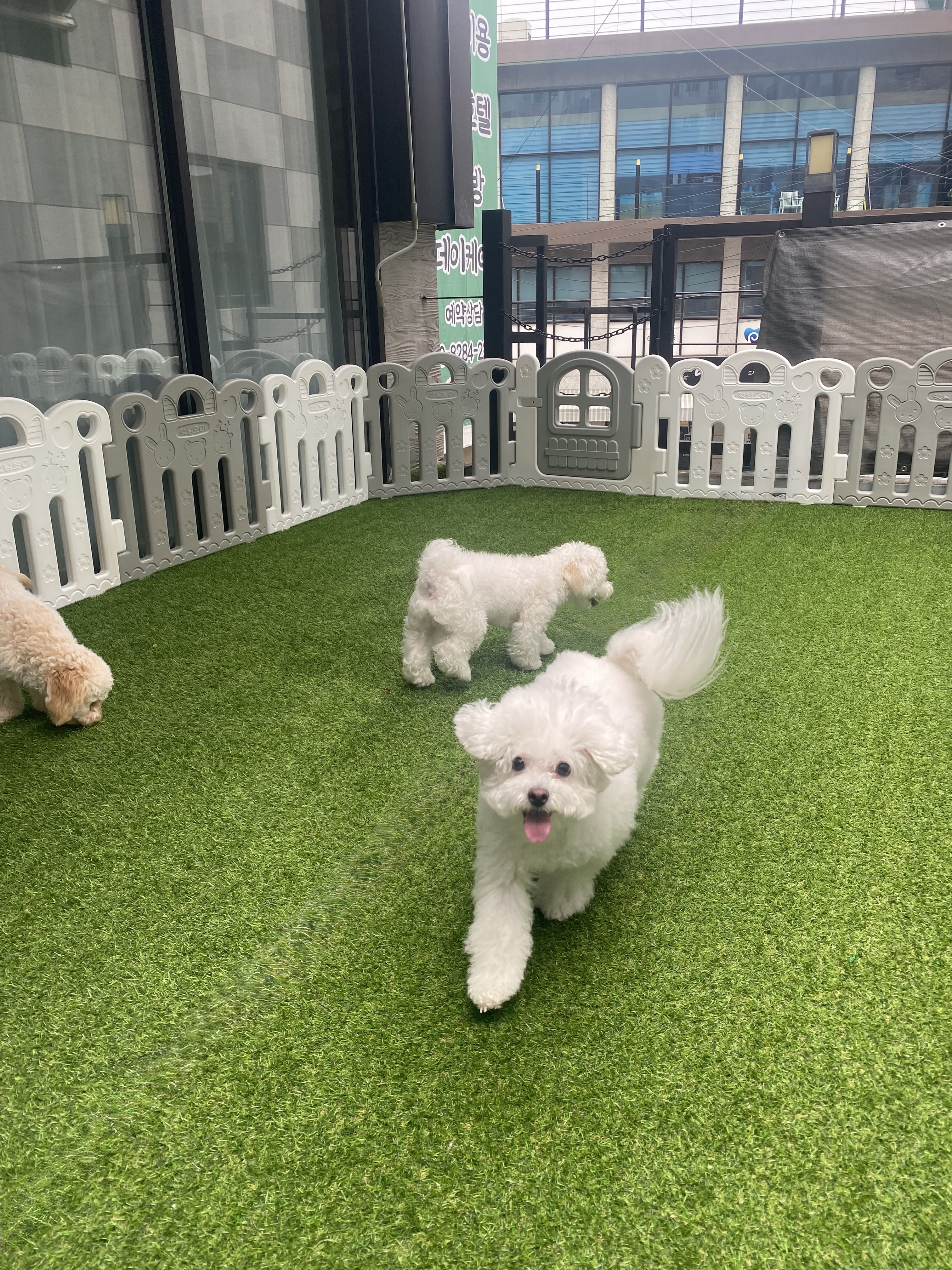 비비몽 대표 이미지