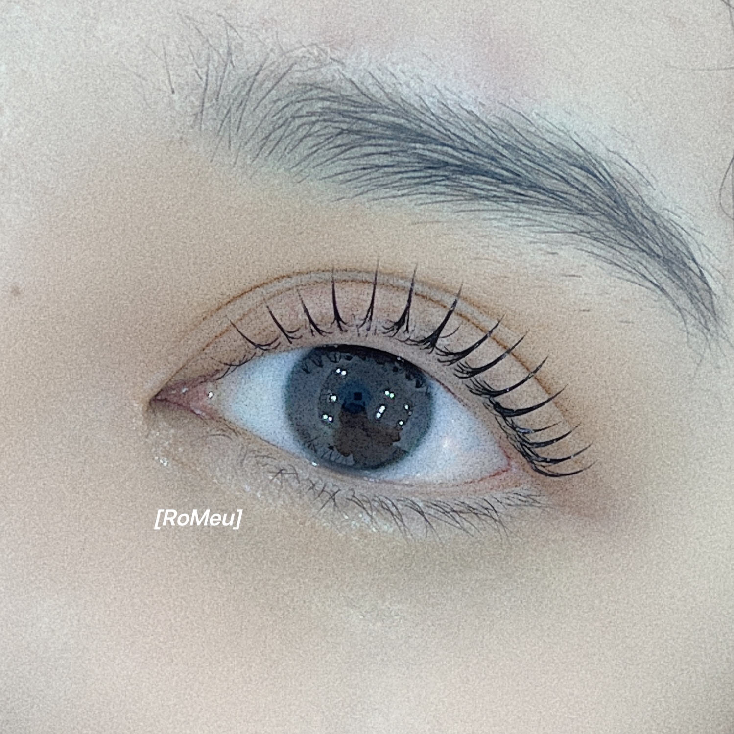 로므 춘천본점 대표 이미지