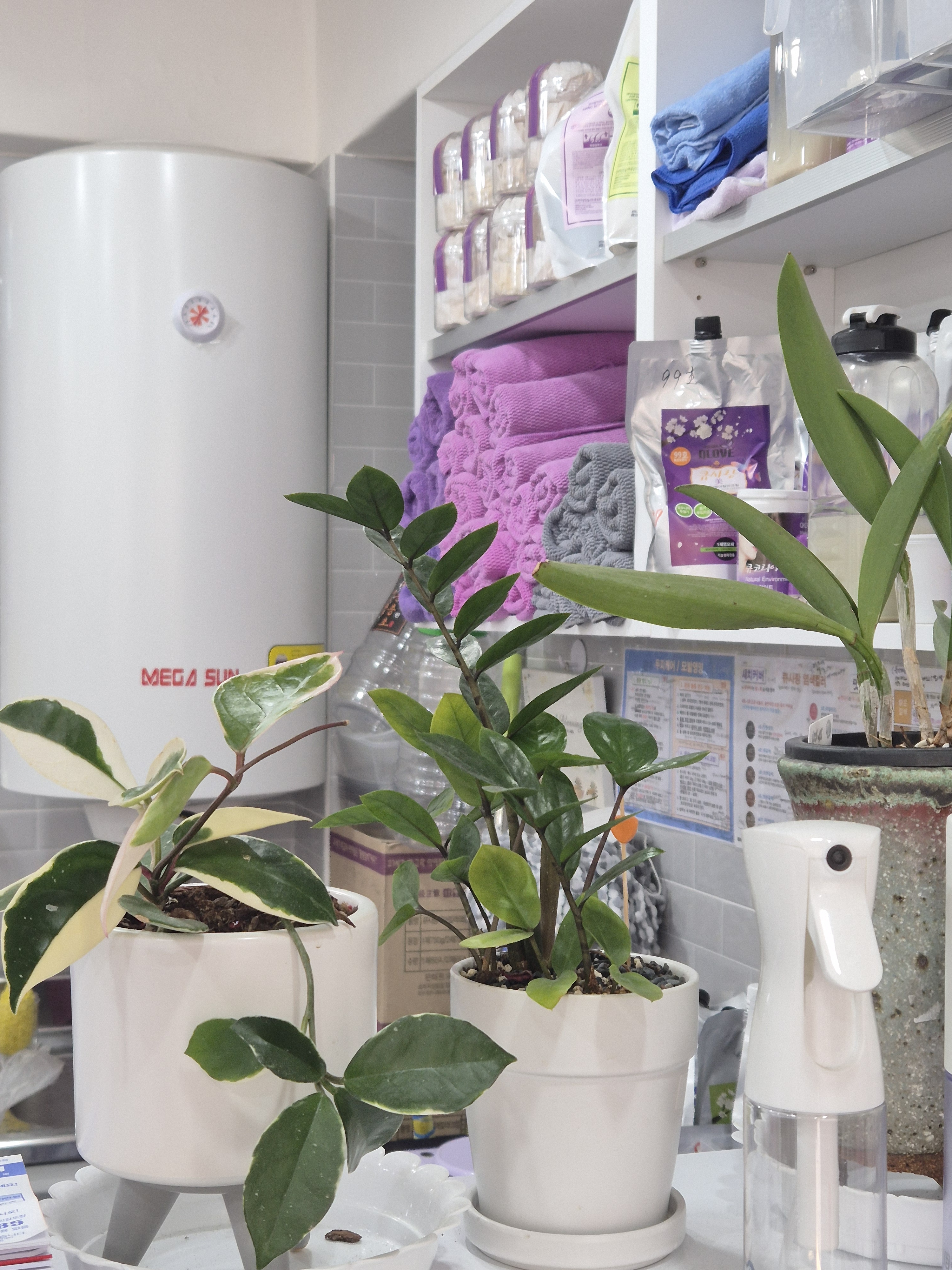 큐사랑 미아사거리역점 이미지