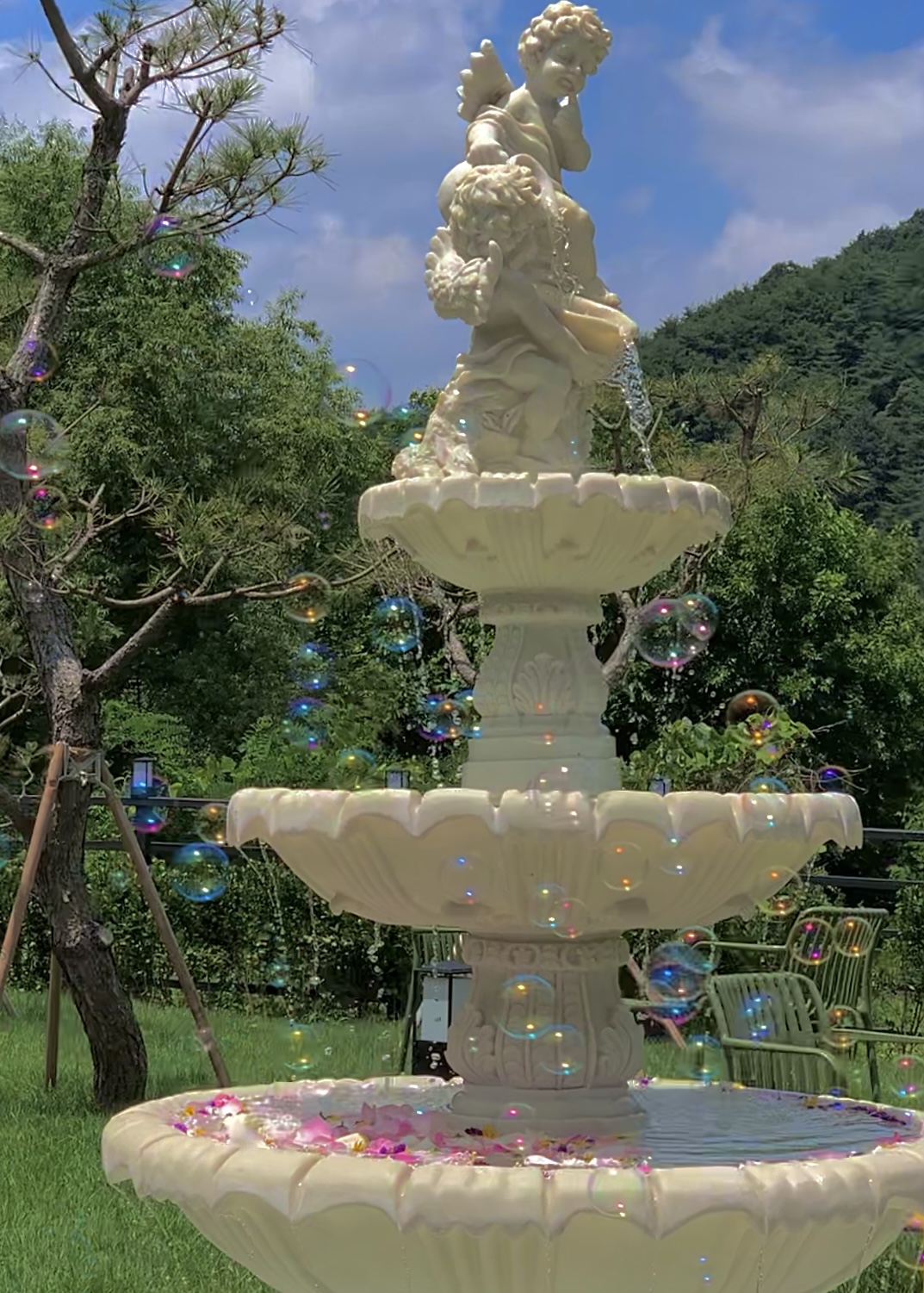 헤이븐즈 5