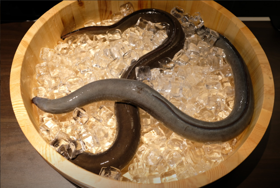 장심도 블랙 사진 2