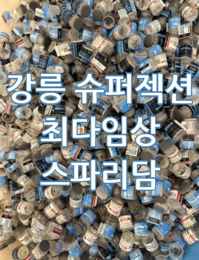 스파리담 대표 이미지